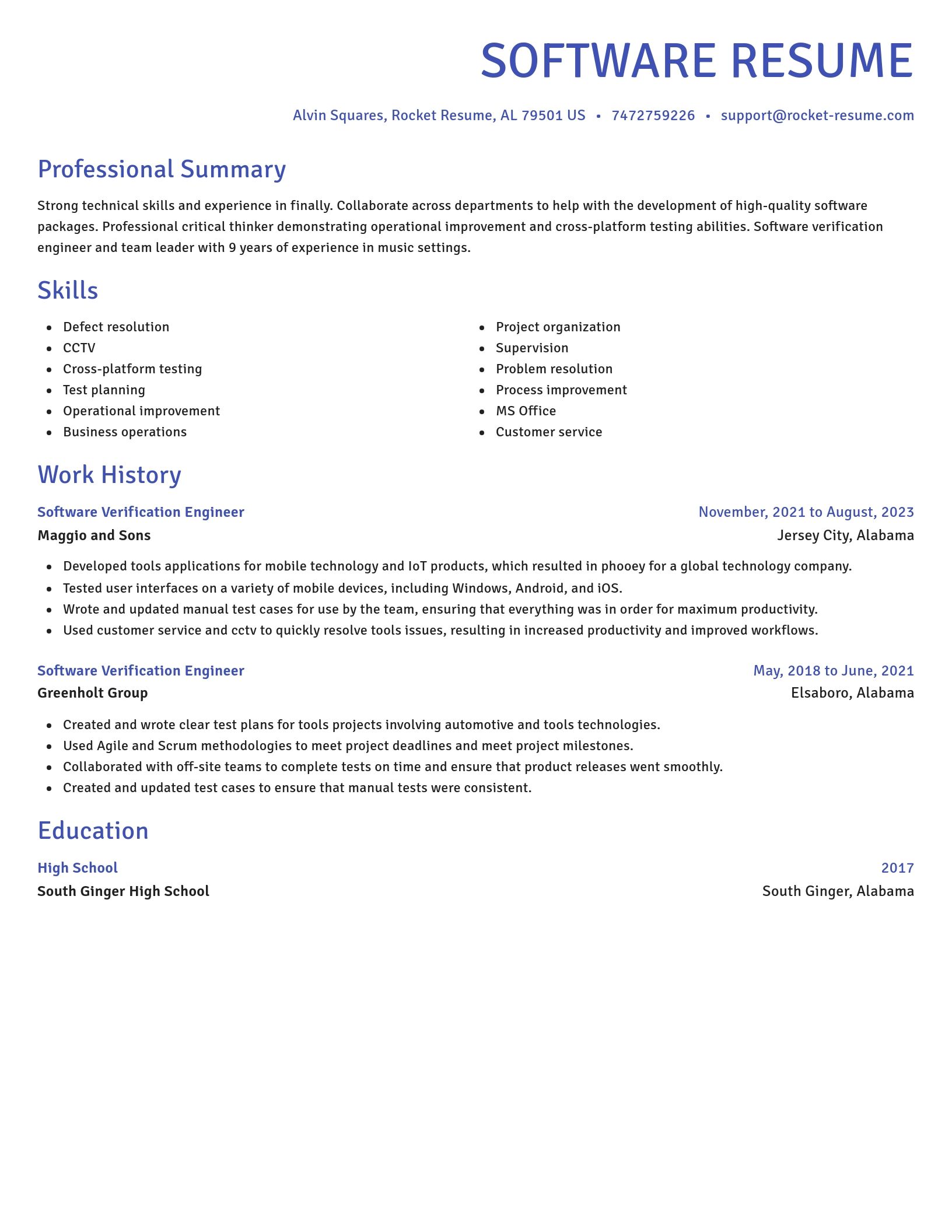 Novel resume template