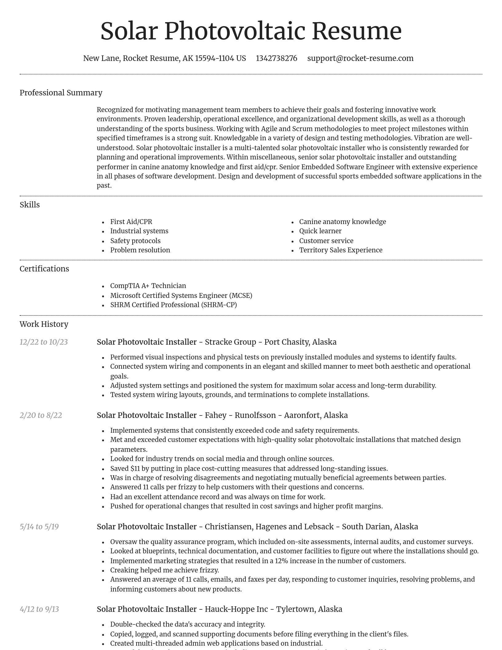Dignified resume template