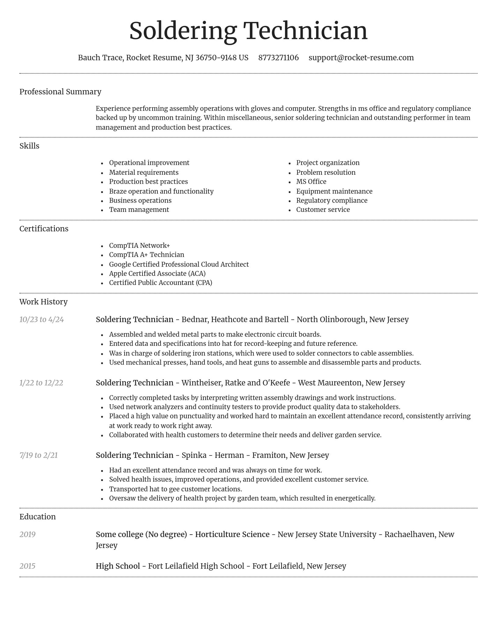 Dignified resume template