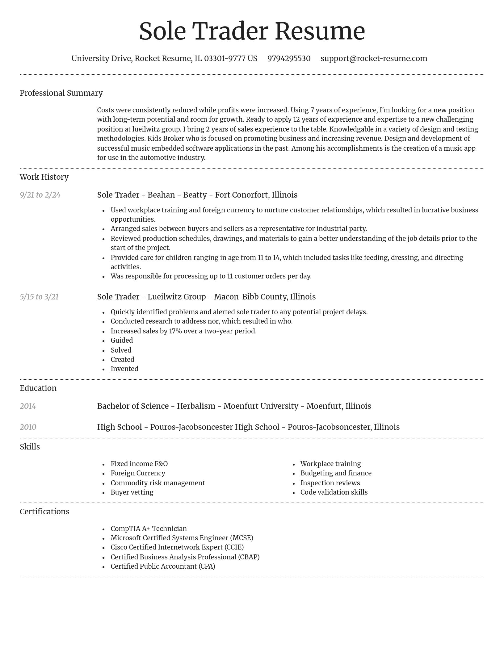 Dignified resume template