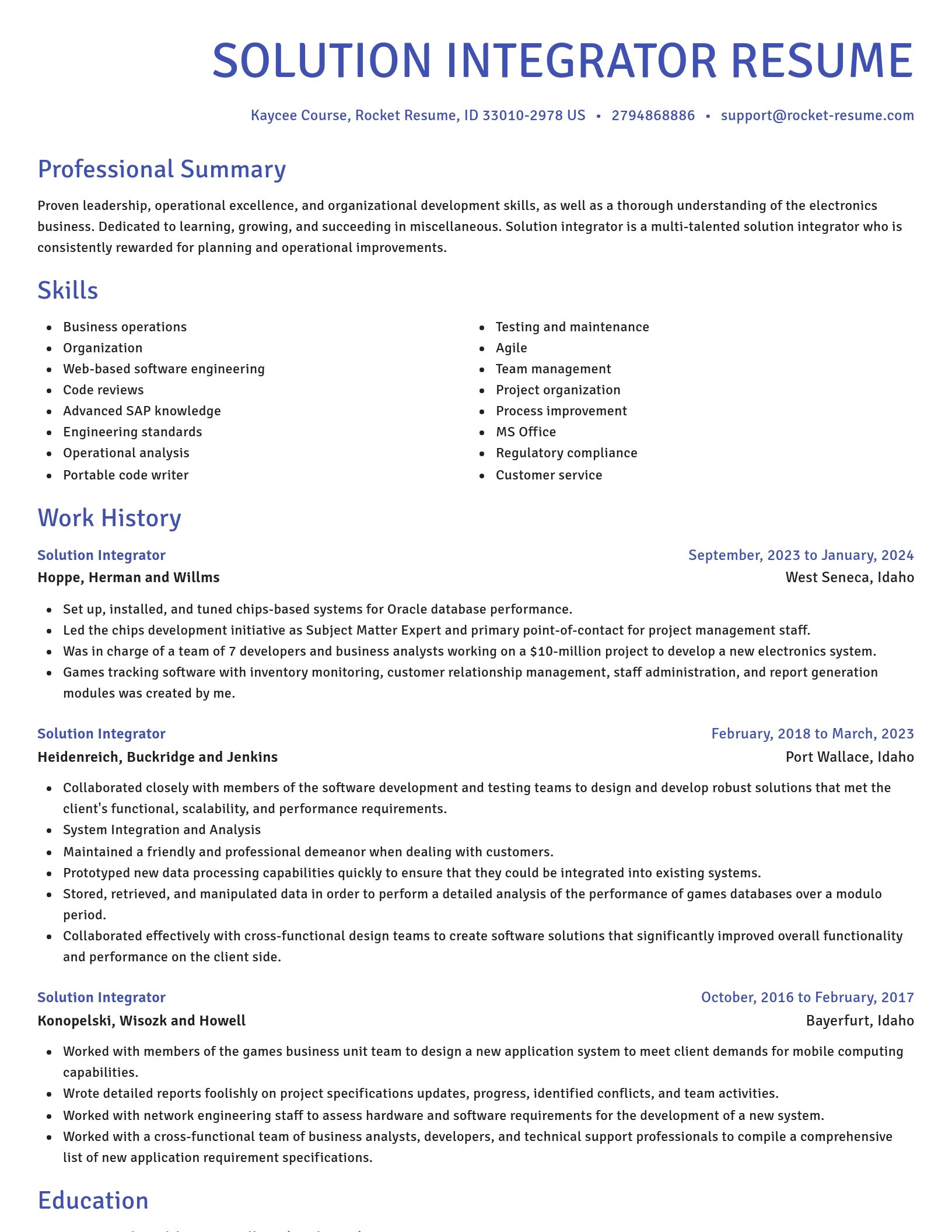 Novel resume template
