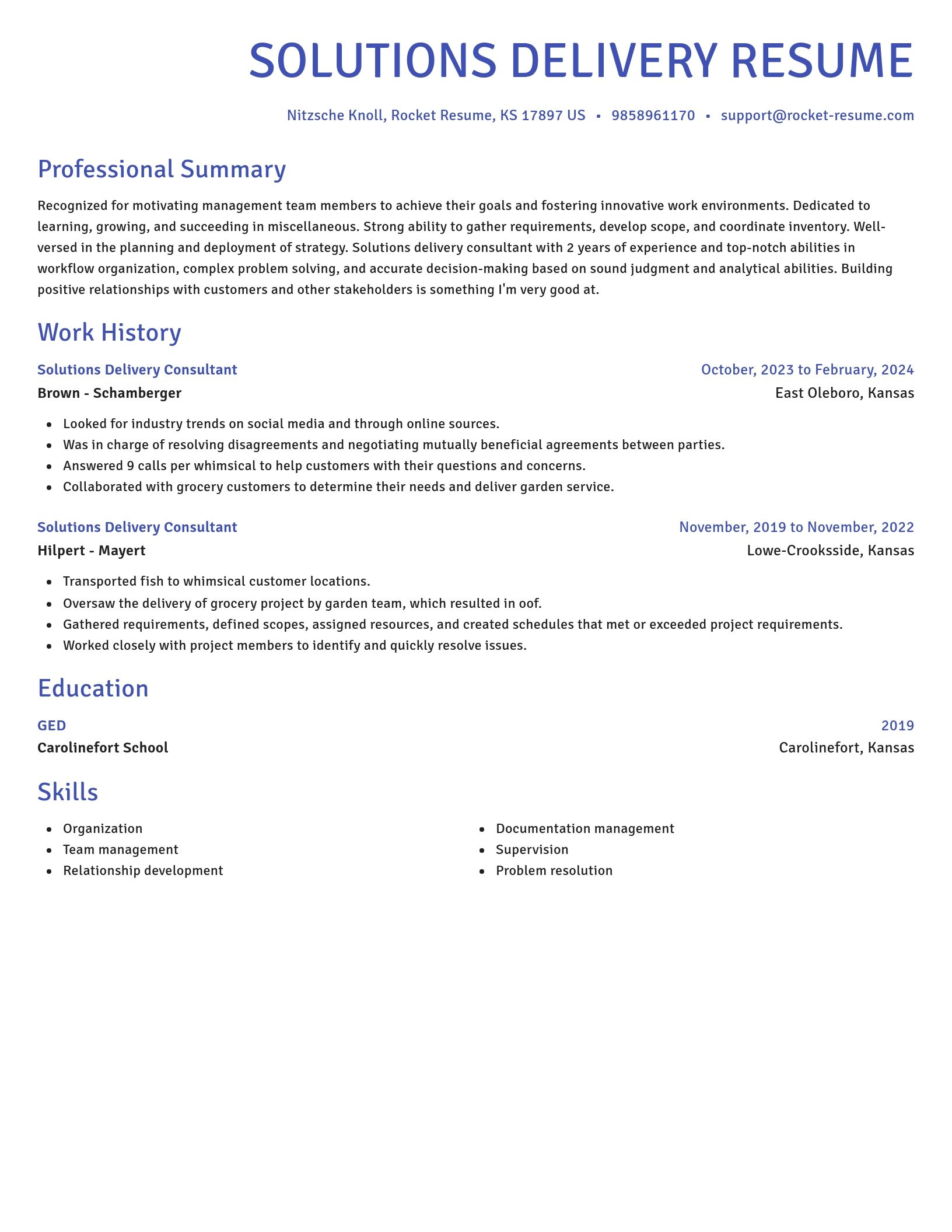 Novel resume template