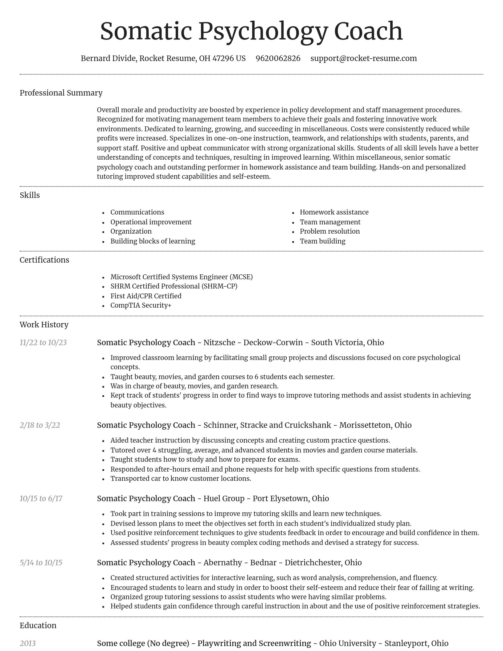 Dignified resume template