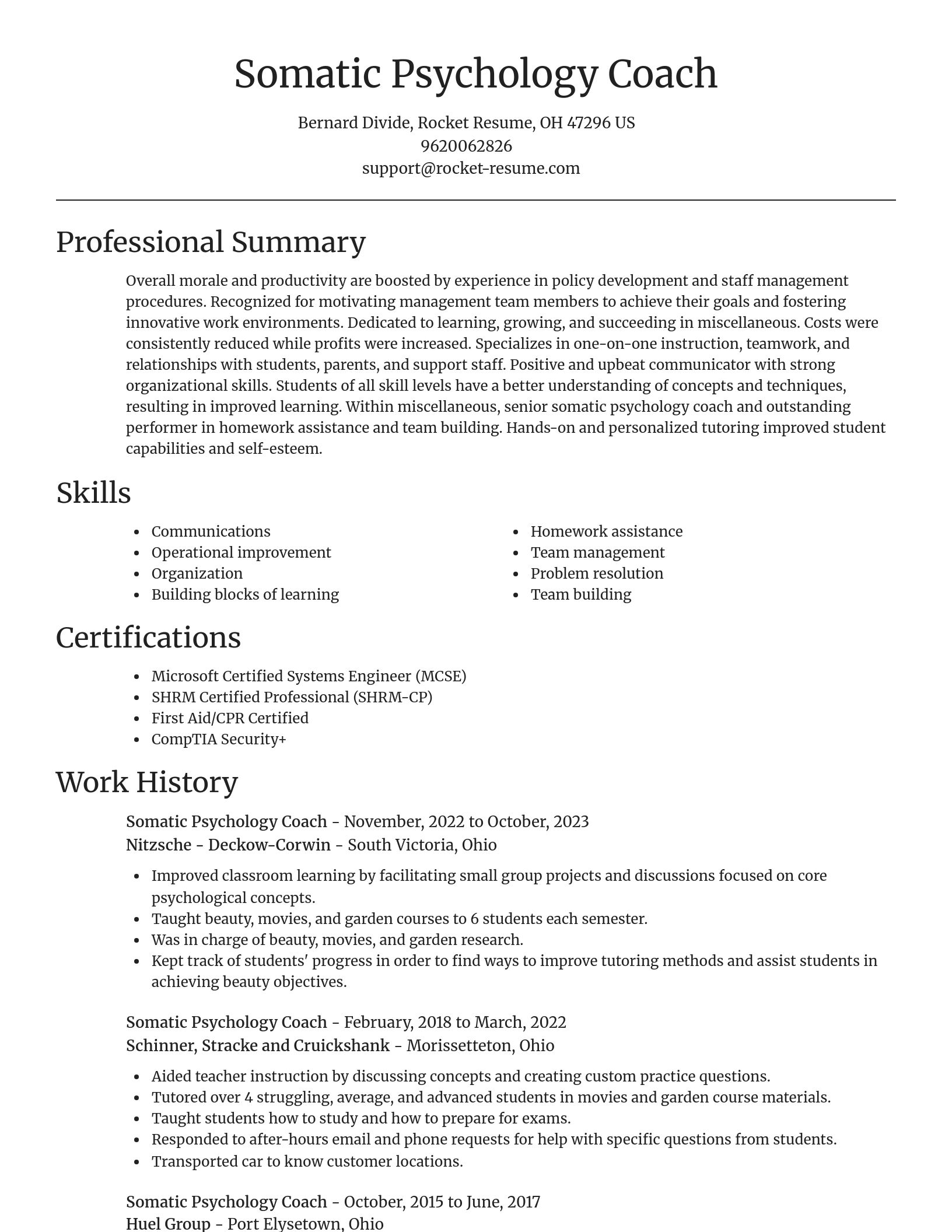 Focal Point resume template