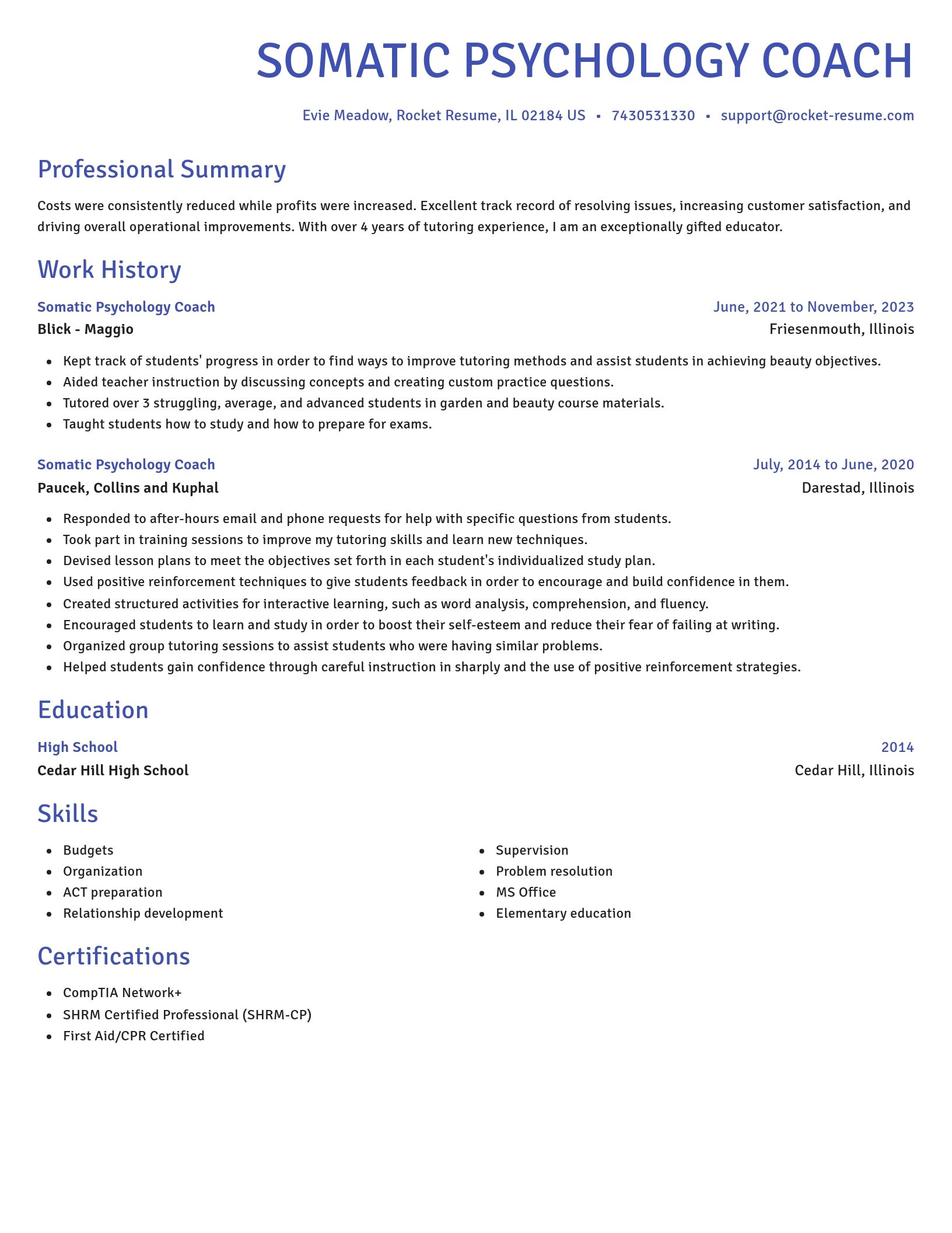 Novel resume template