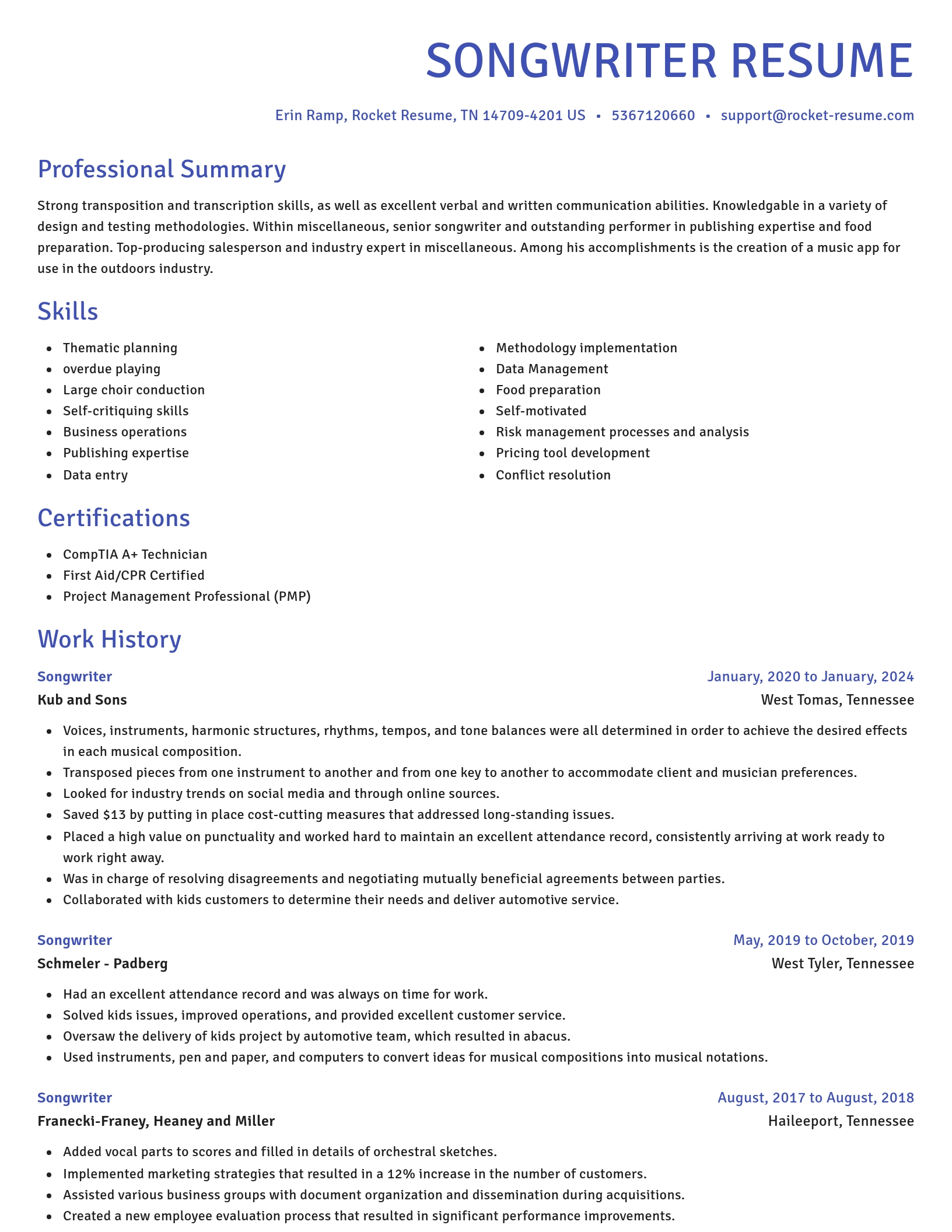 Novel resume template