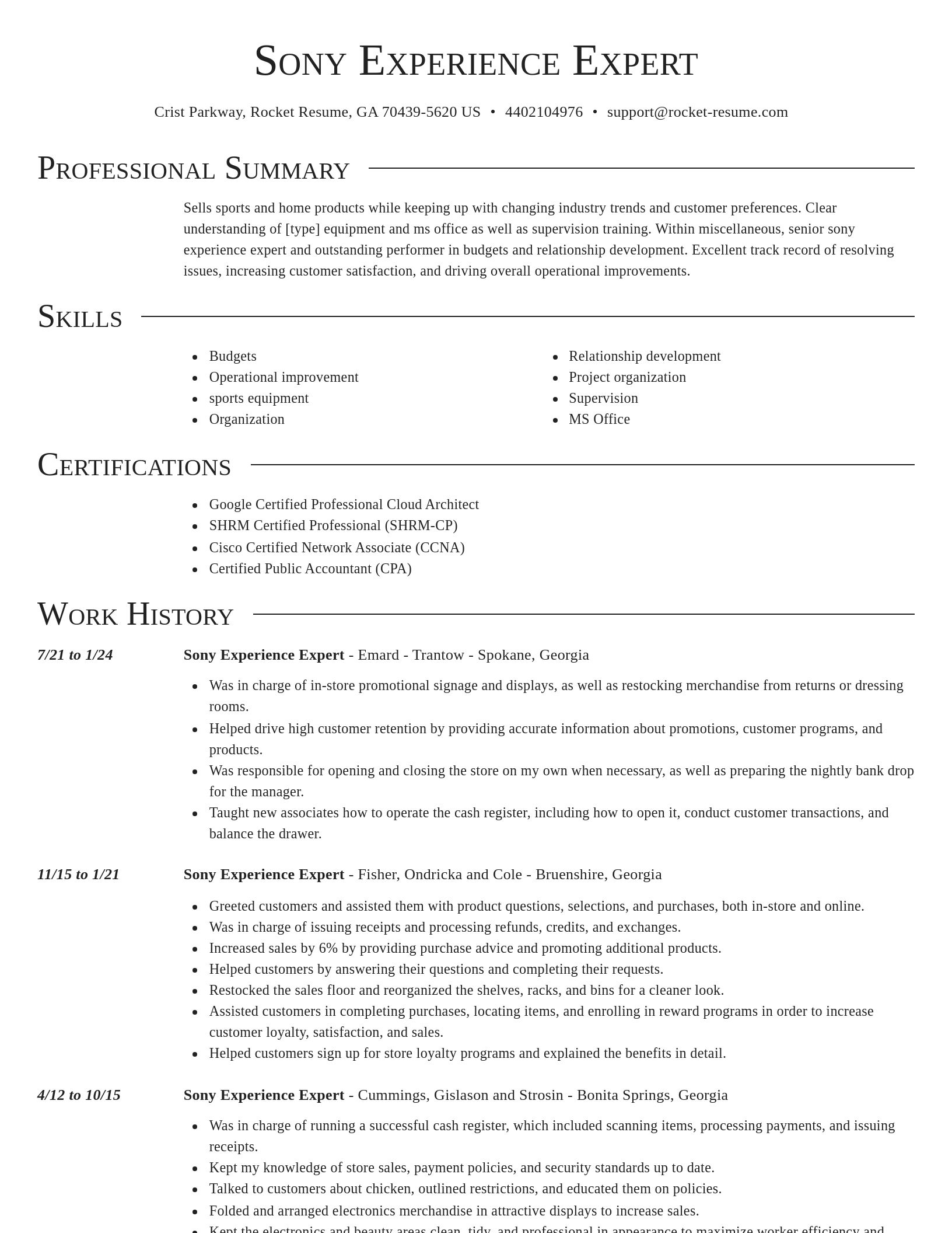 Director resume template