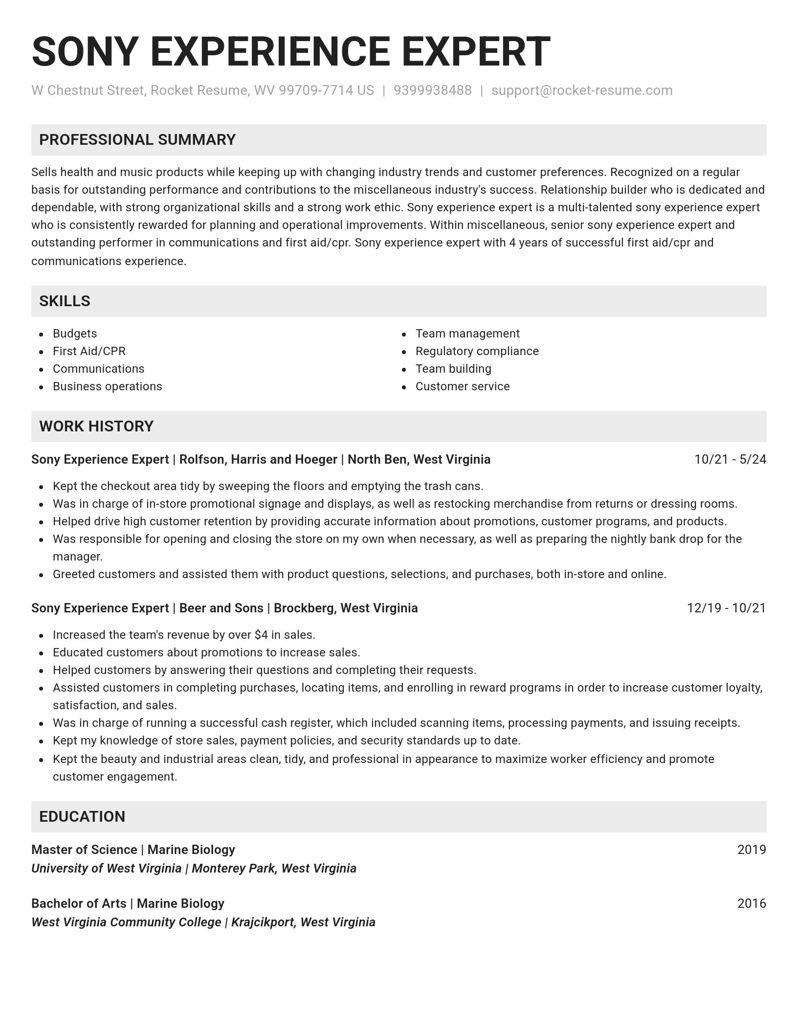 Genius resume template
