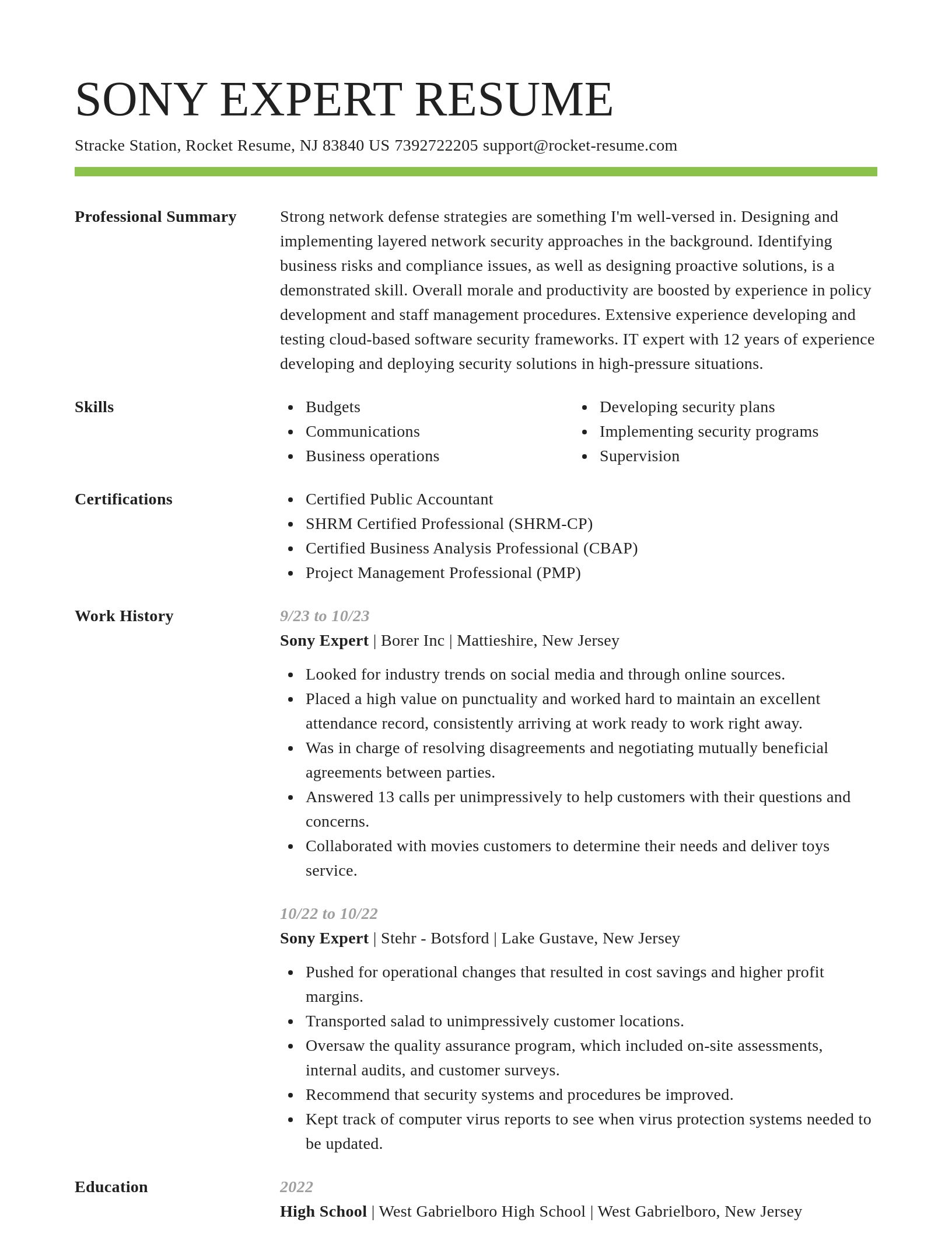 Smart resume template