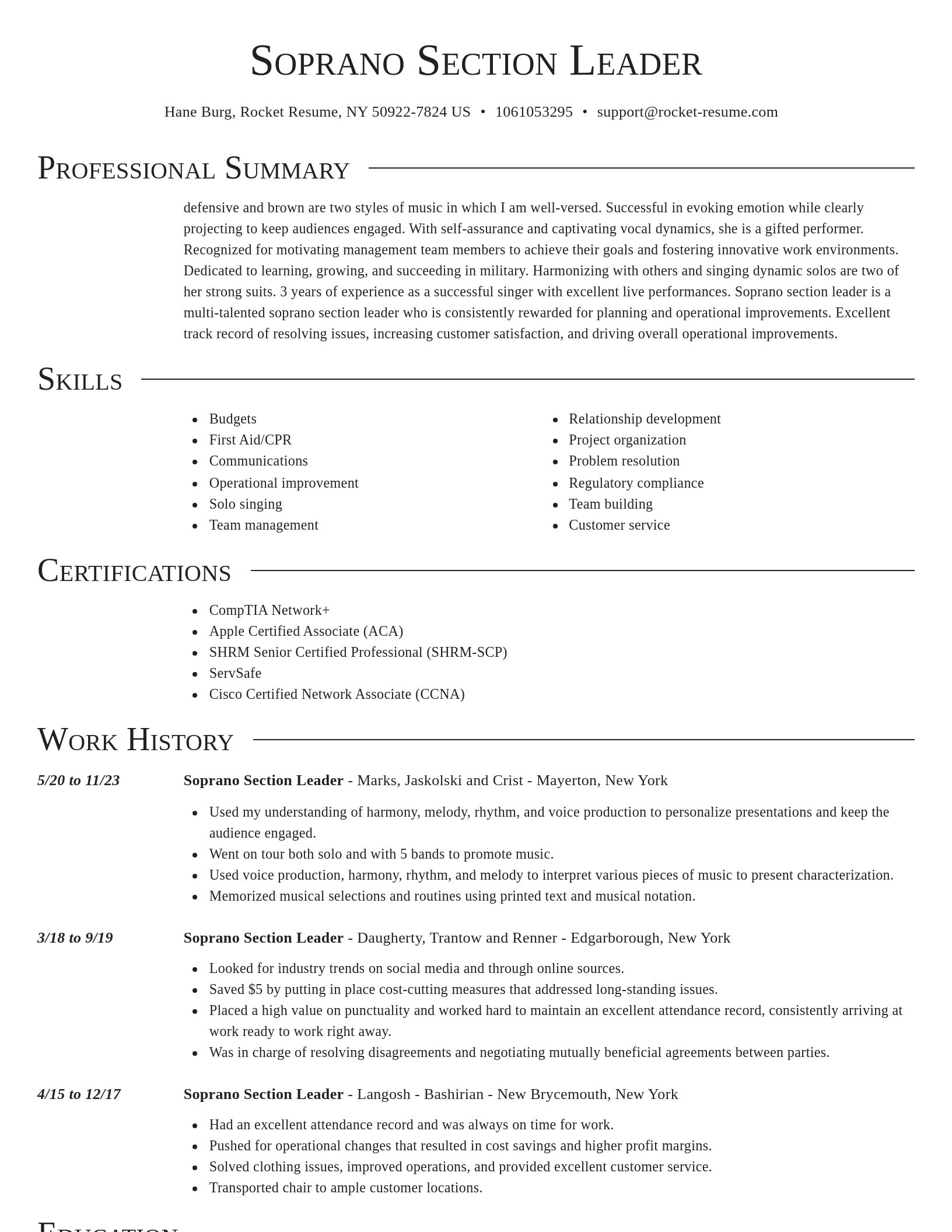 Director resume template