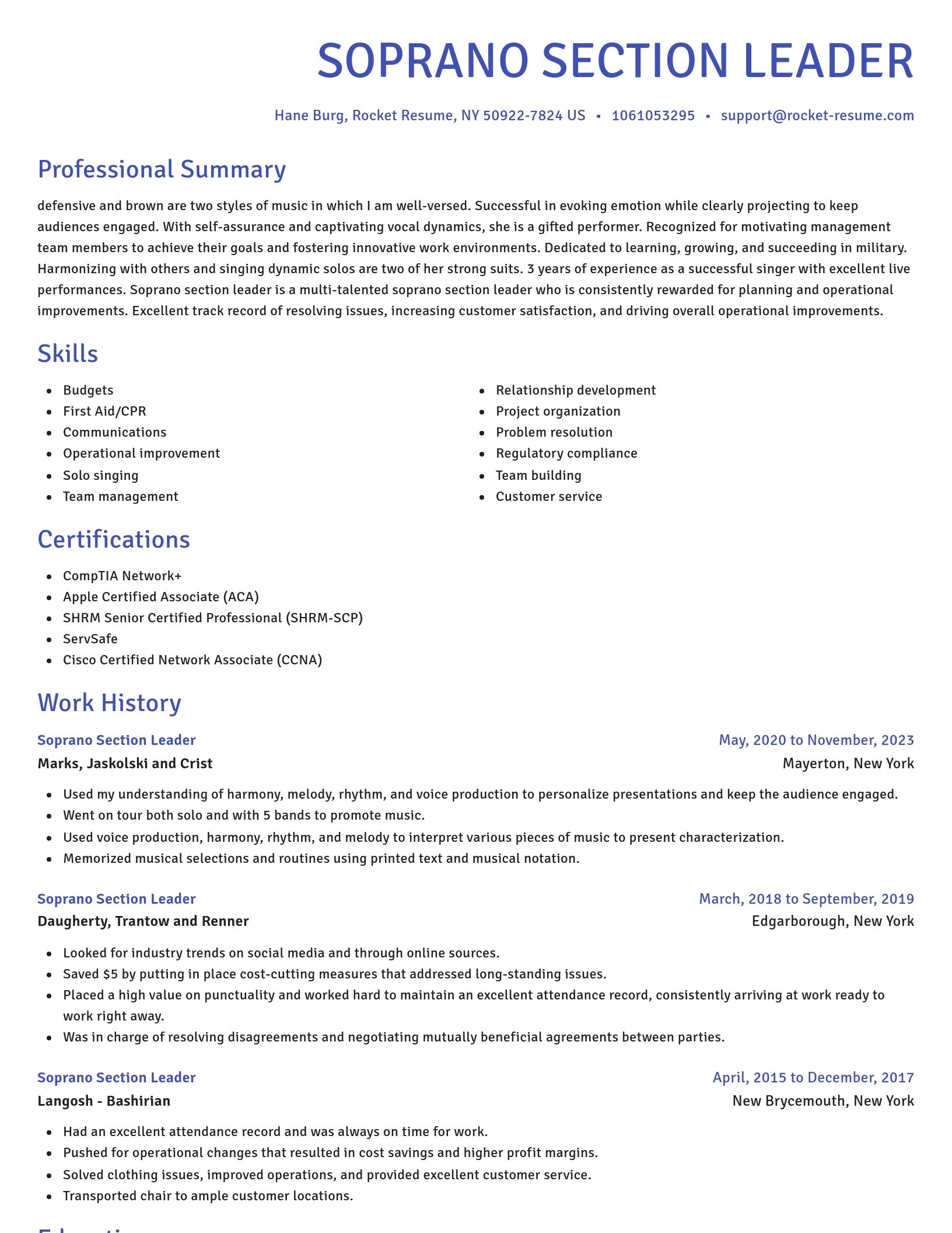 Novel resume template