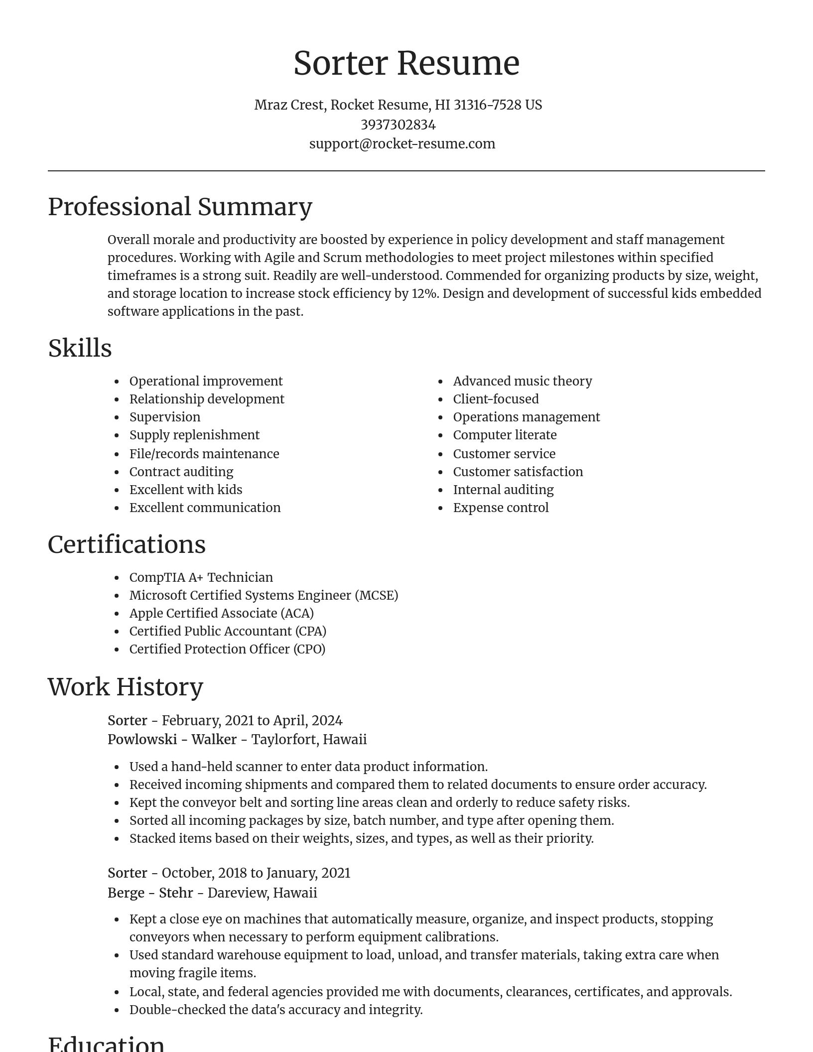 Focal Point resume template