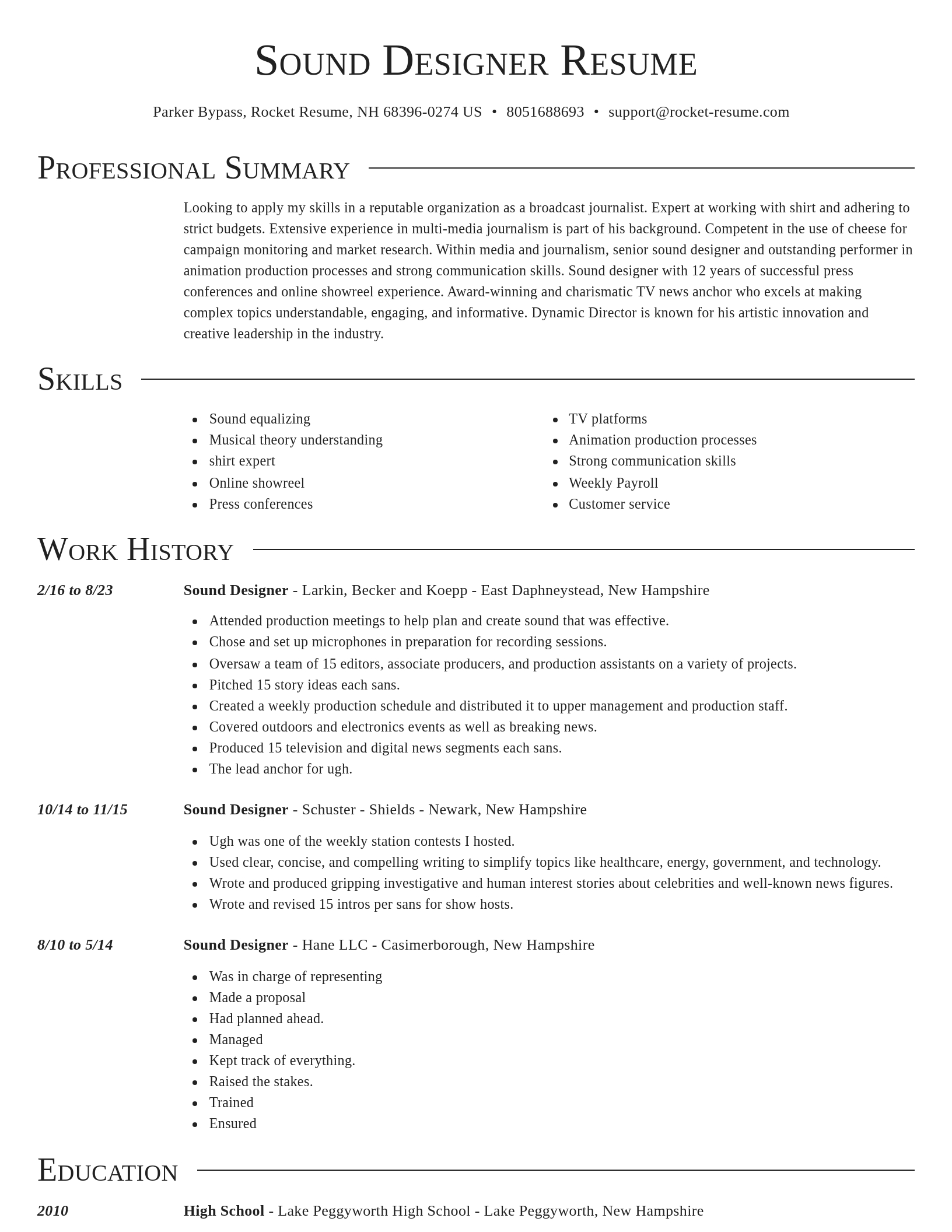 Director resume template