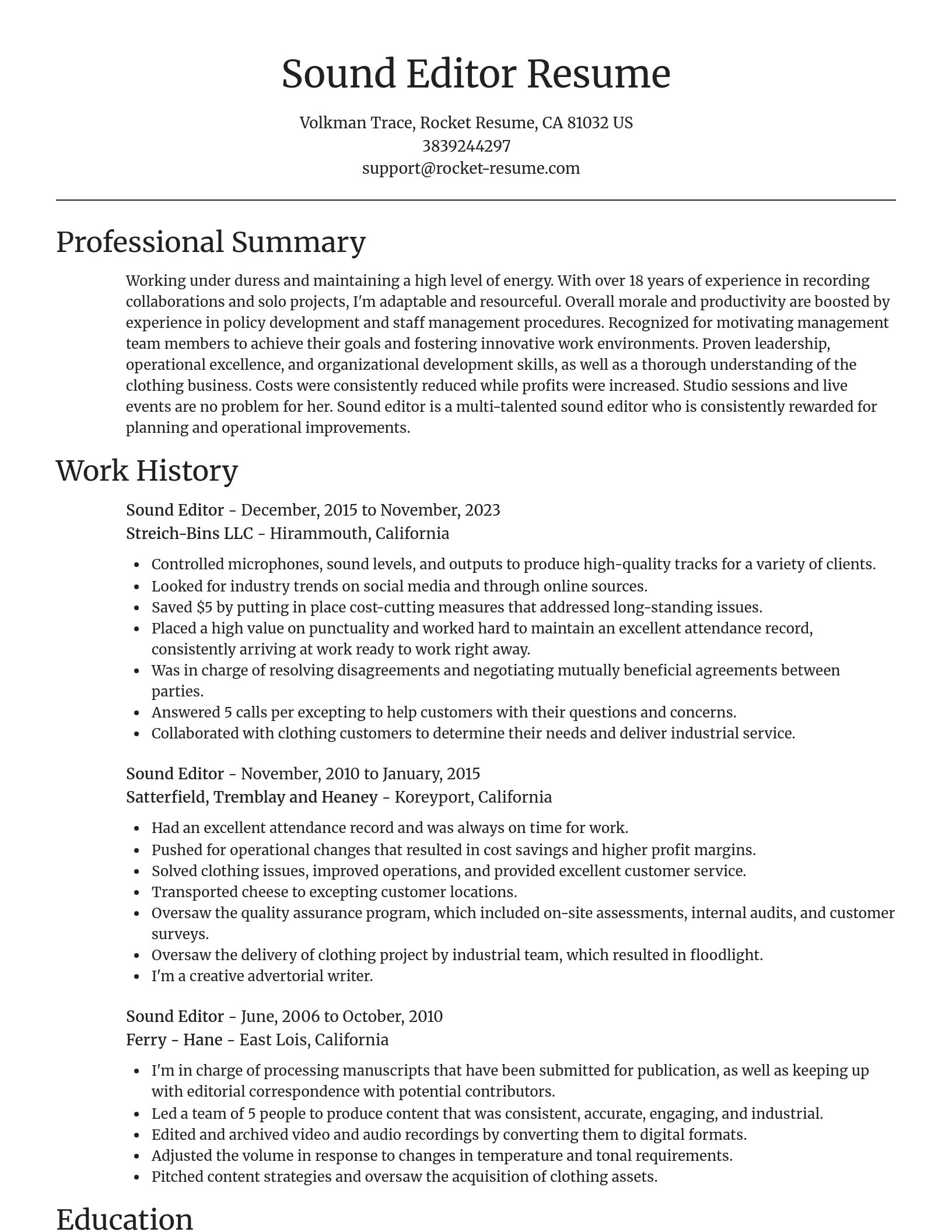 Focal Point resume template