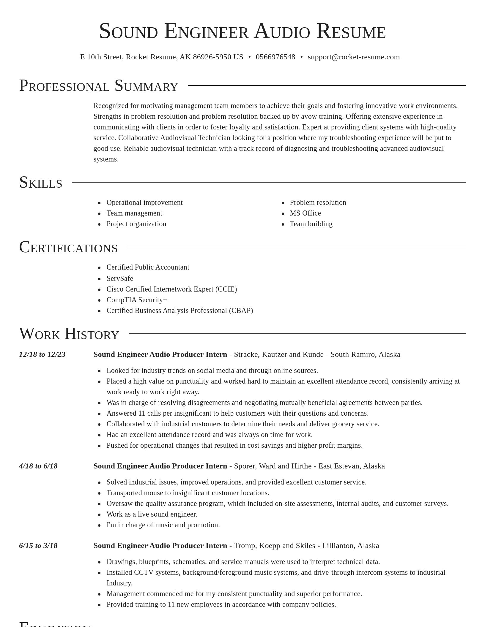 Director resume template
