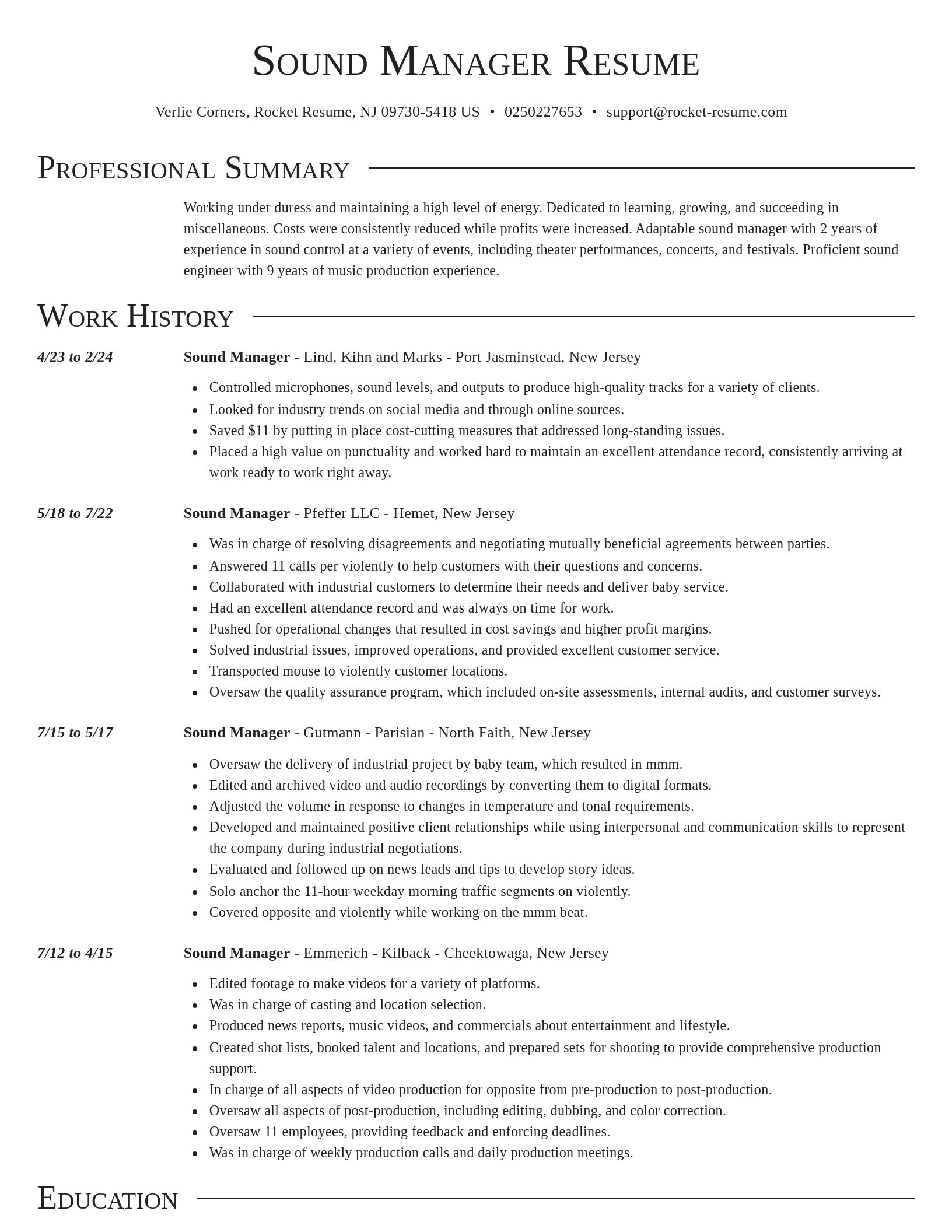 Director resume template