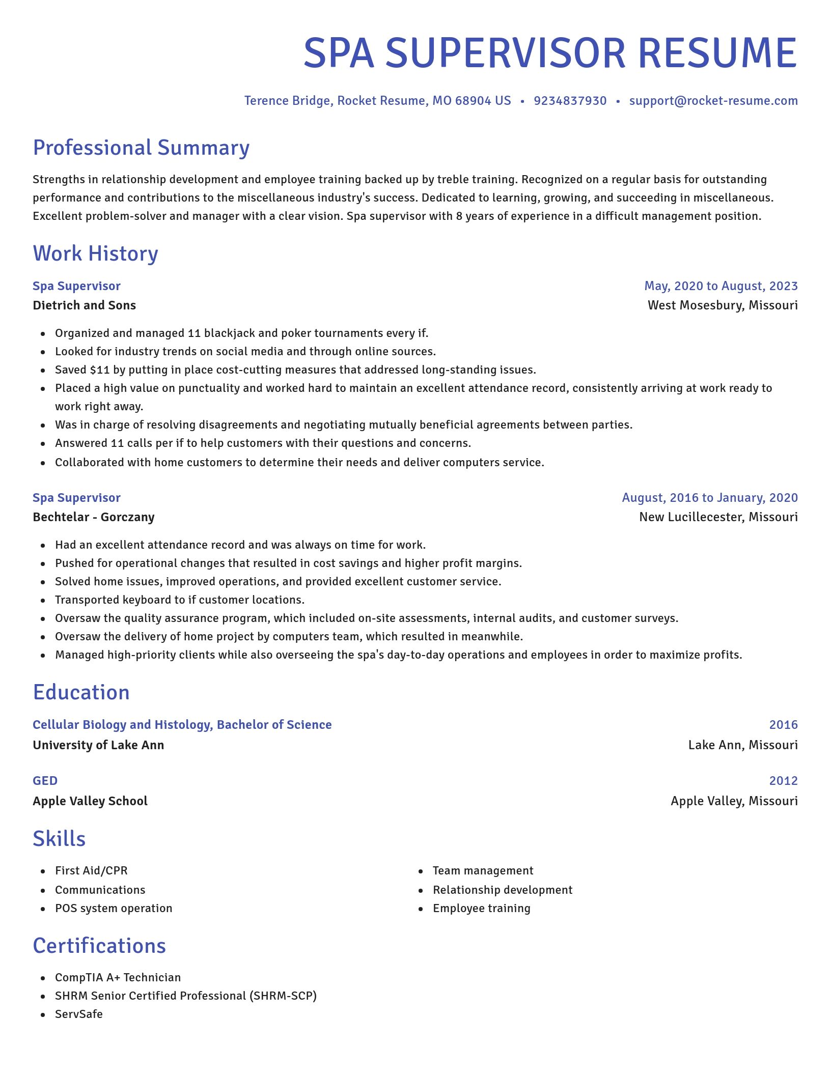 Novel resume template