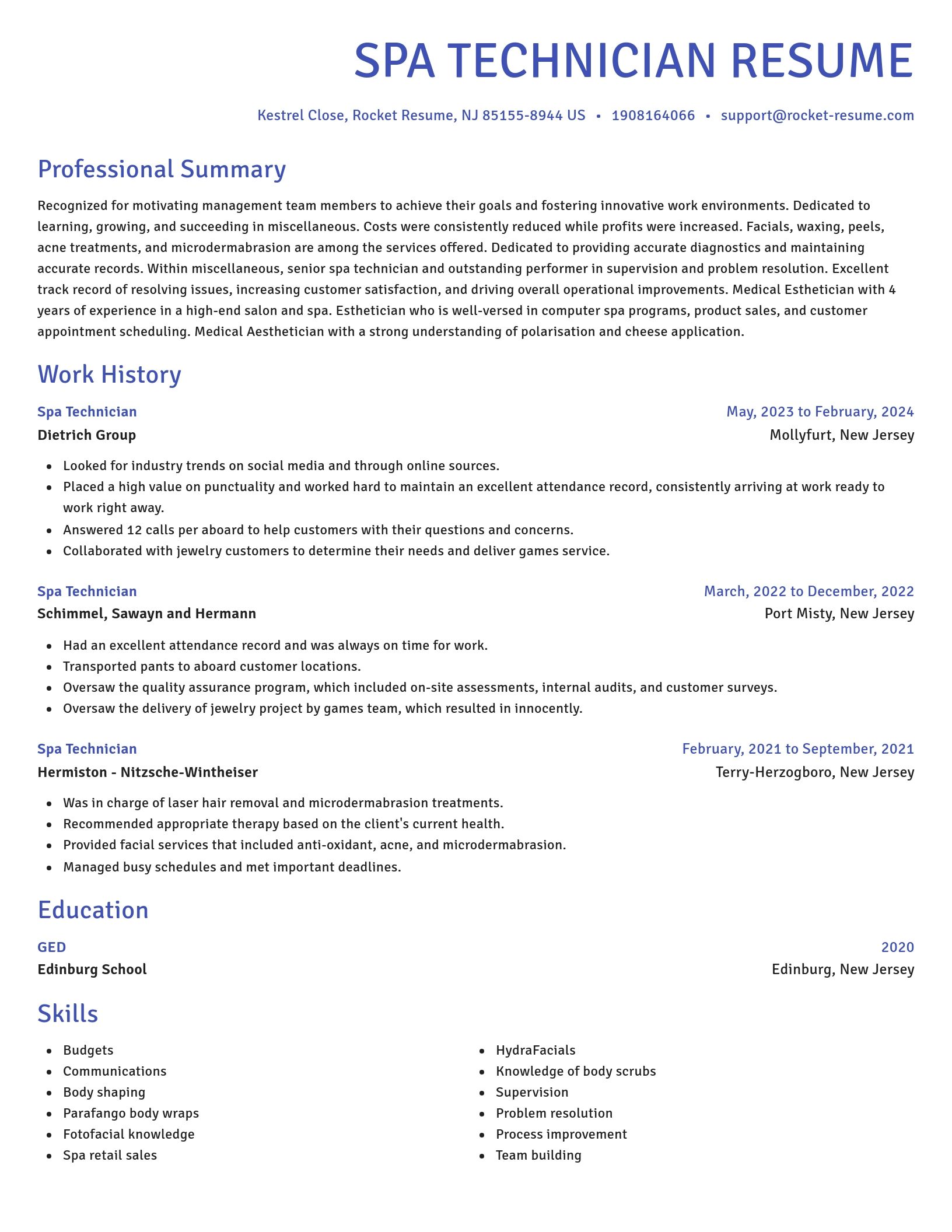 Novel resume template