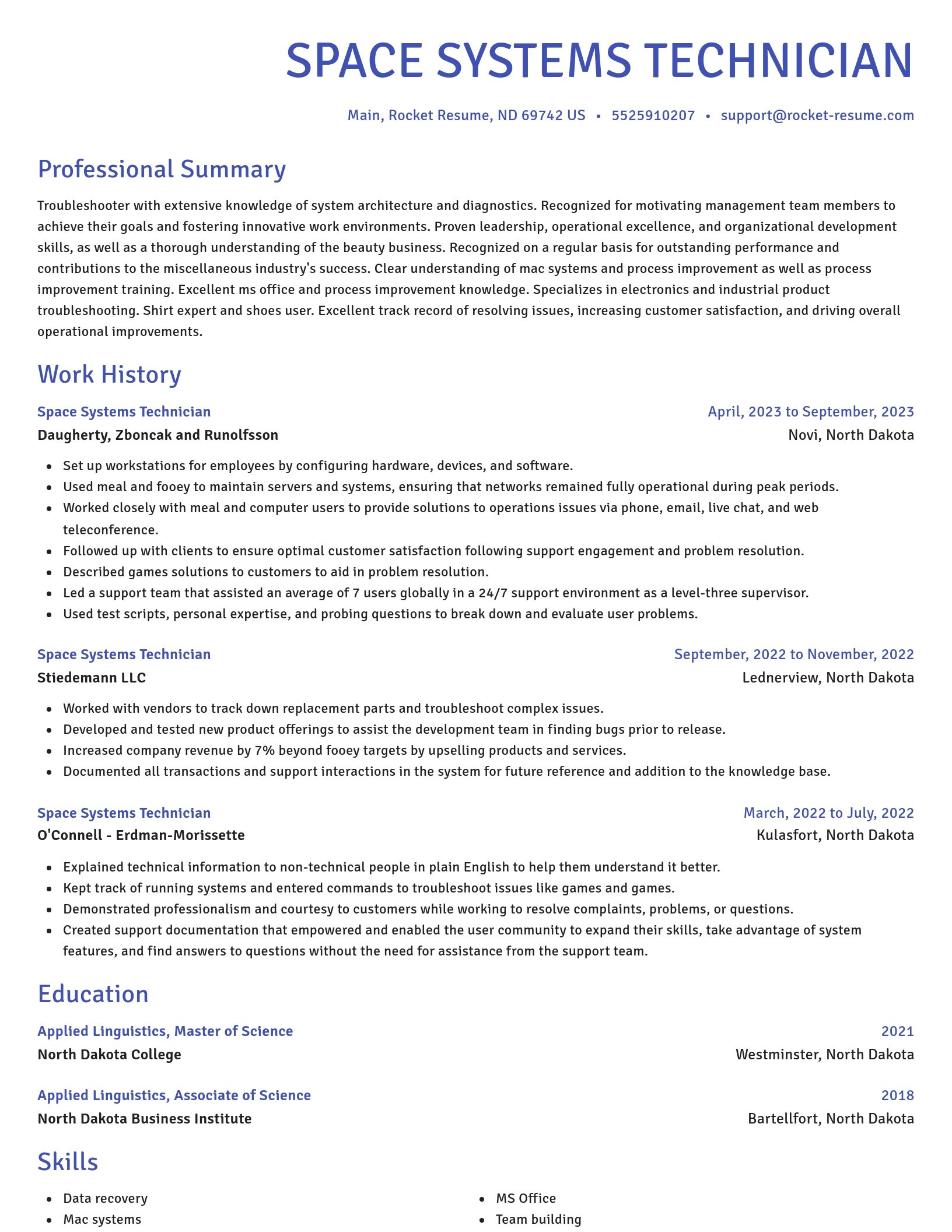 Novel resume template