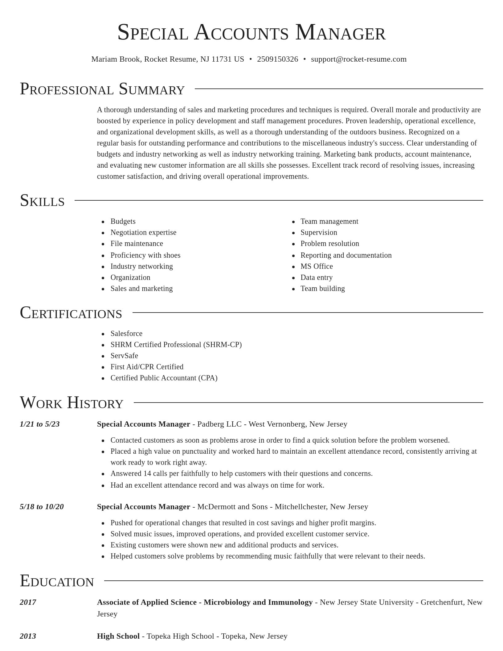 Director resume template