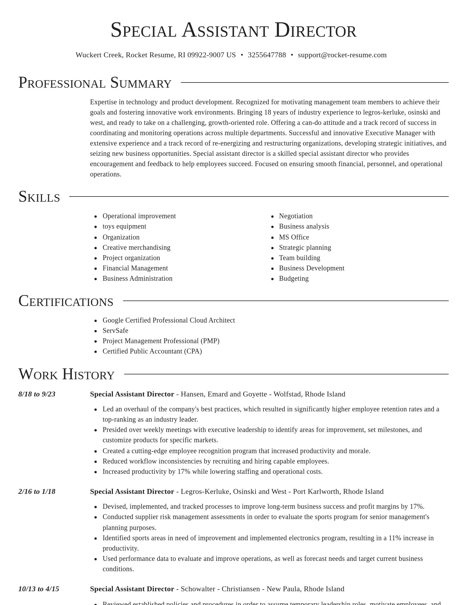 Director resume template