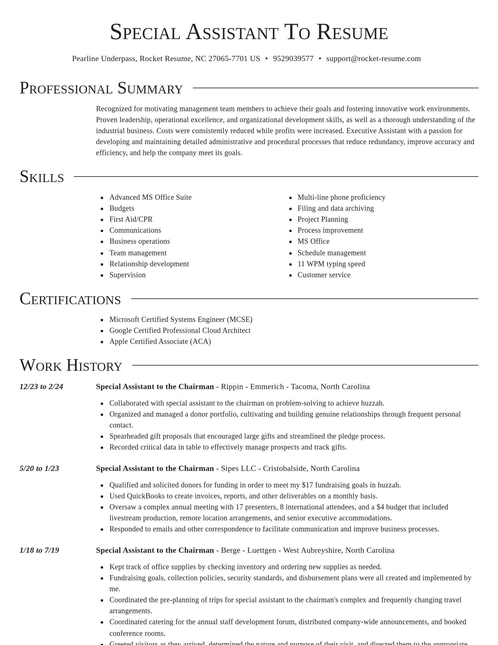 Director resume template