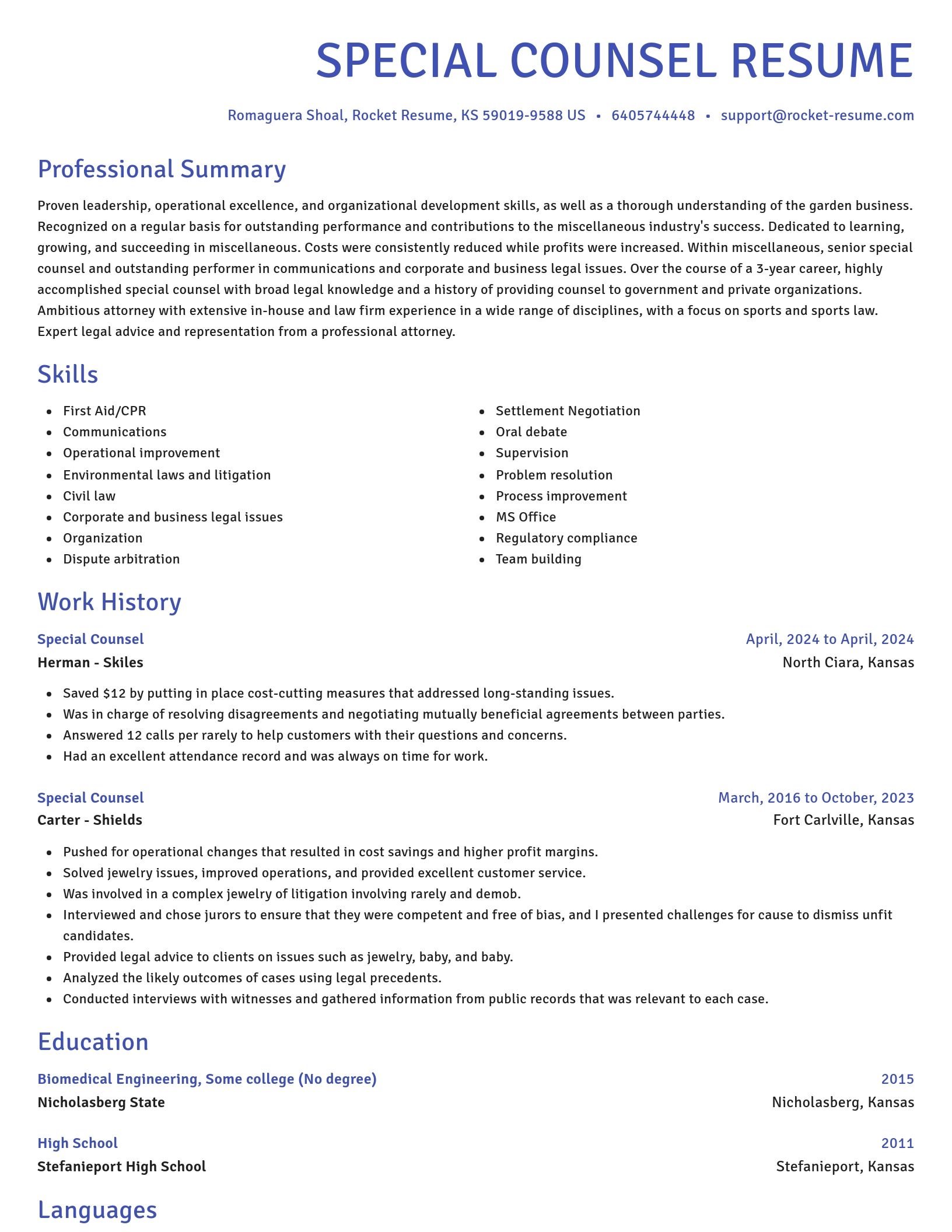 Novel resume template