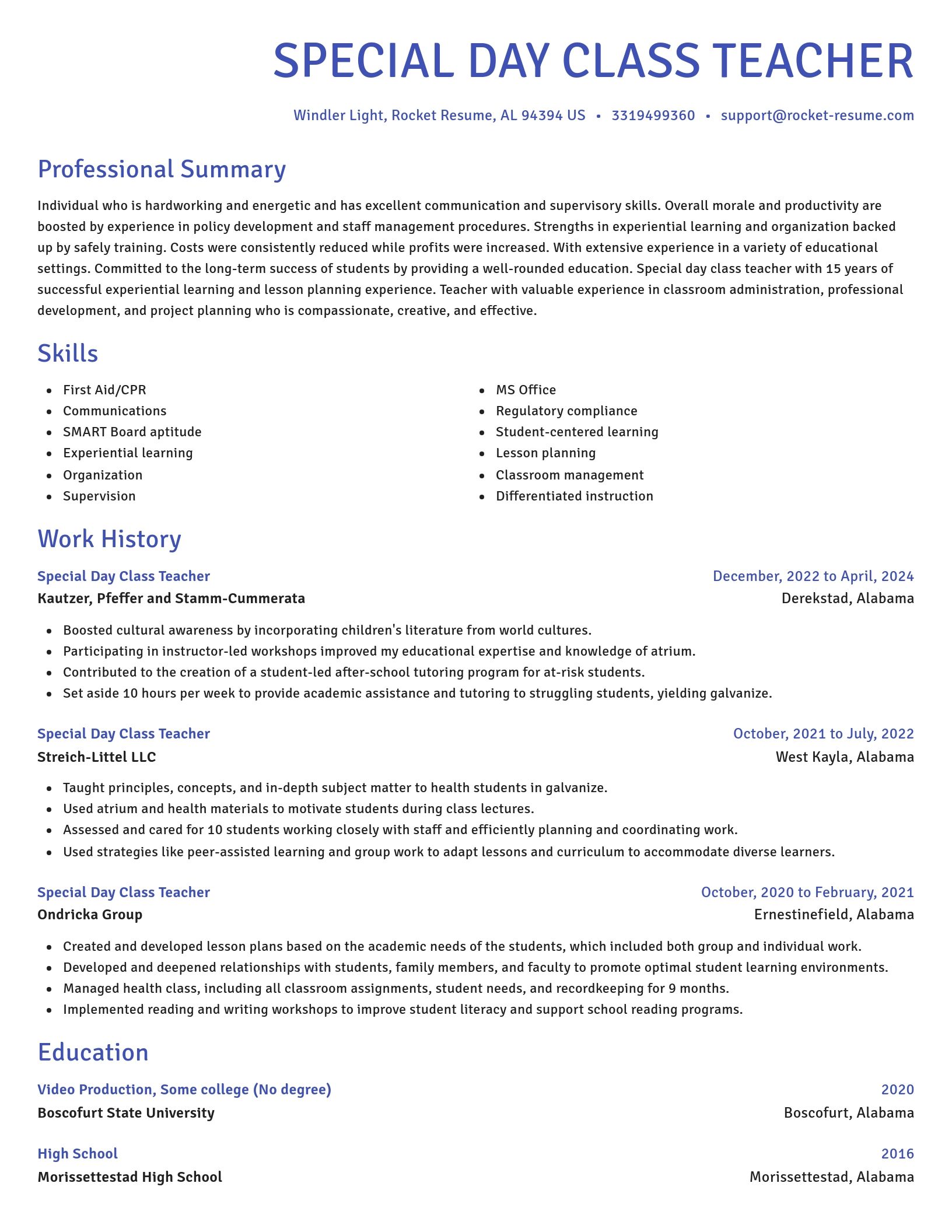 Novel resume template