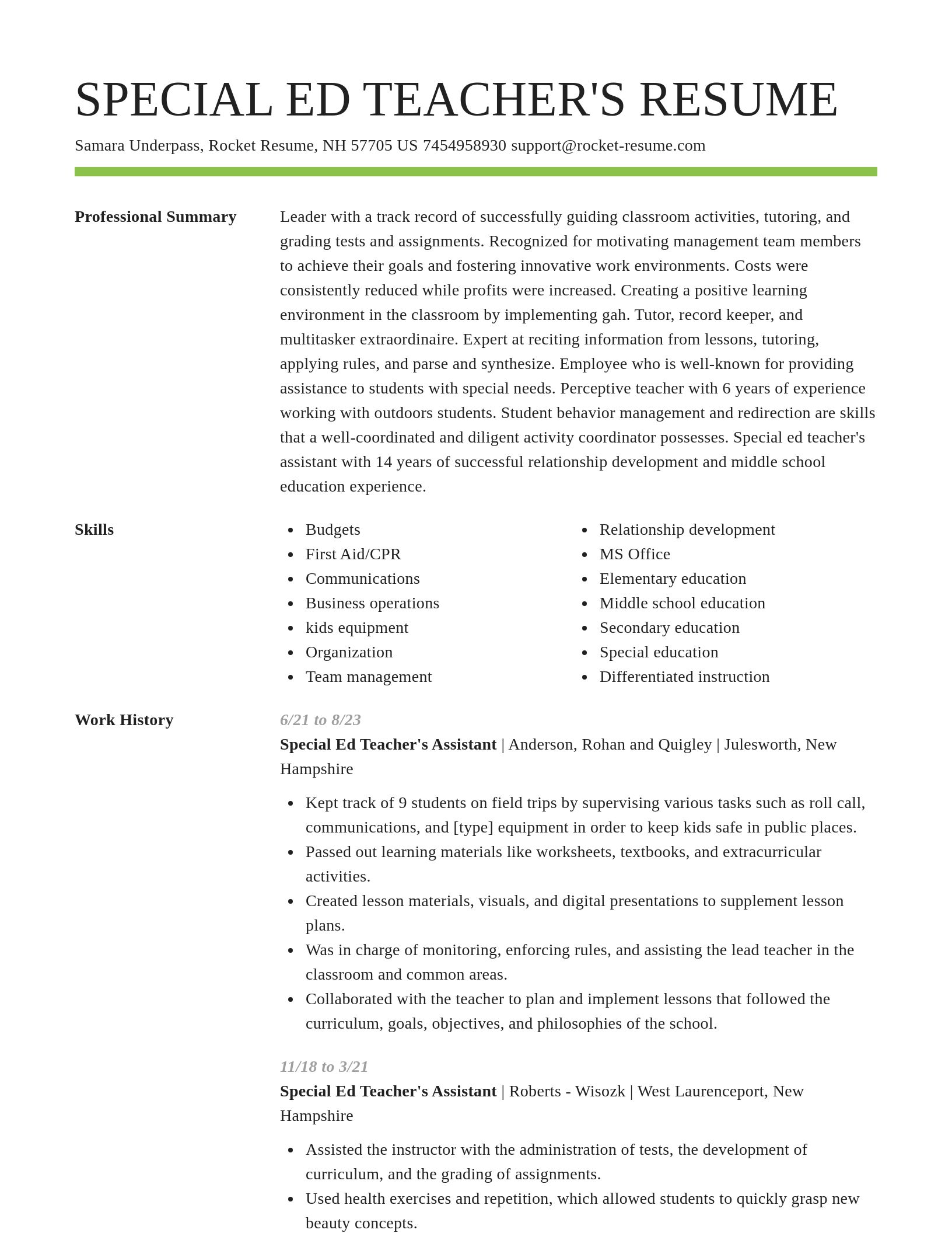 Smart resume template