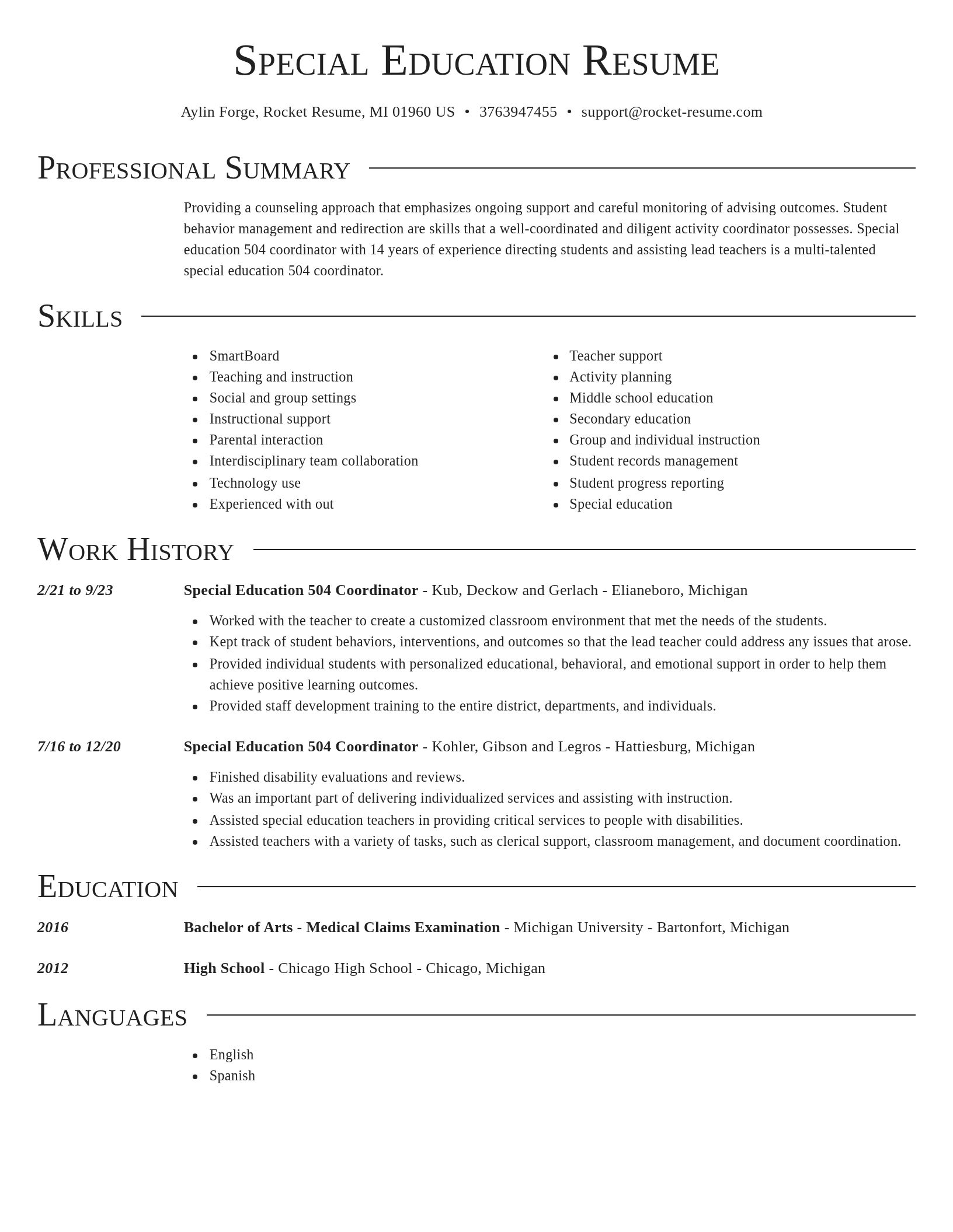 Director resume template