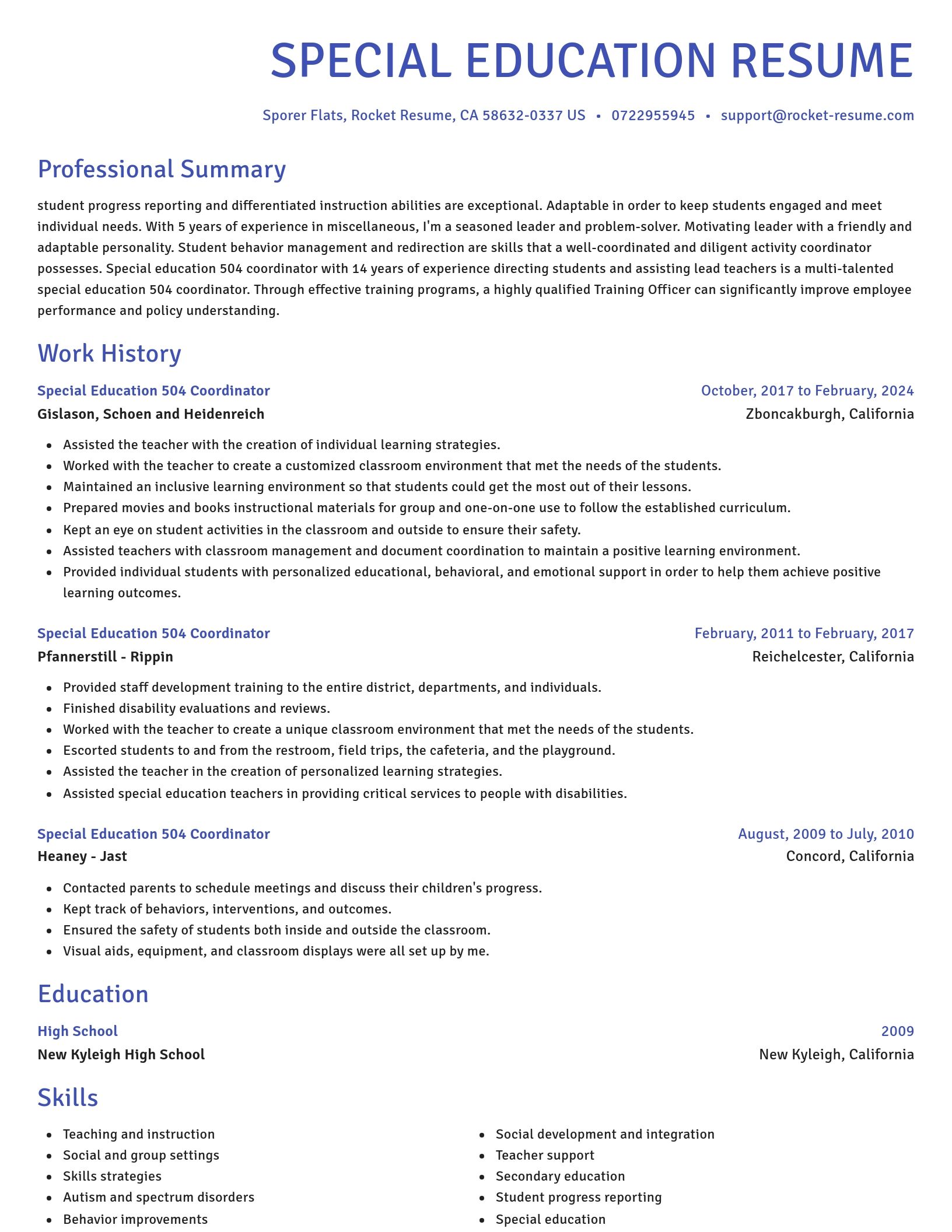 Novel resume template
