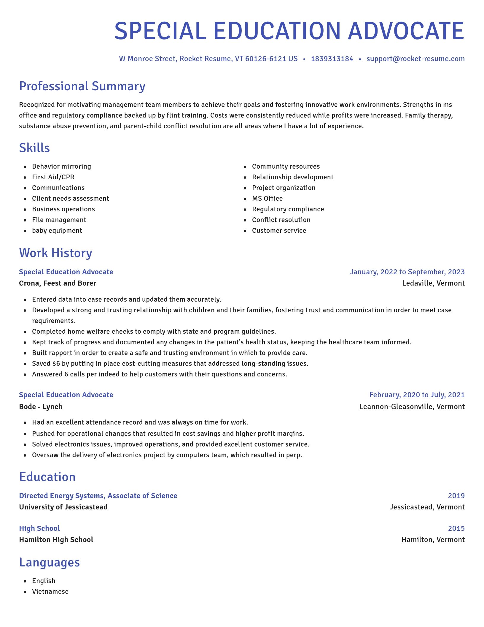 Novel resume template