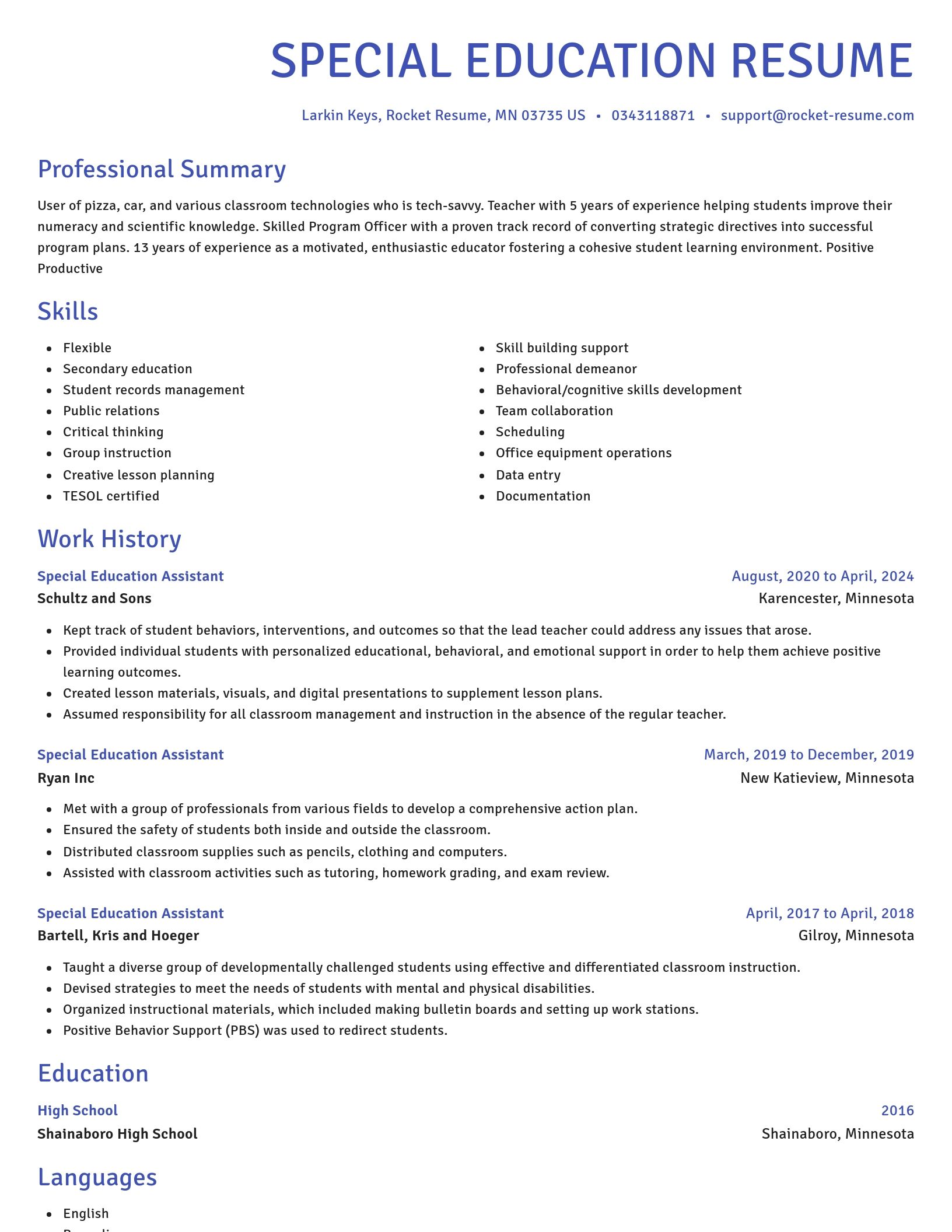 Novel resume template