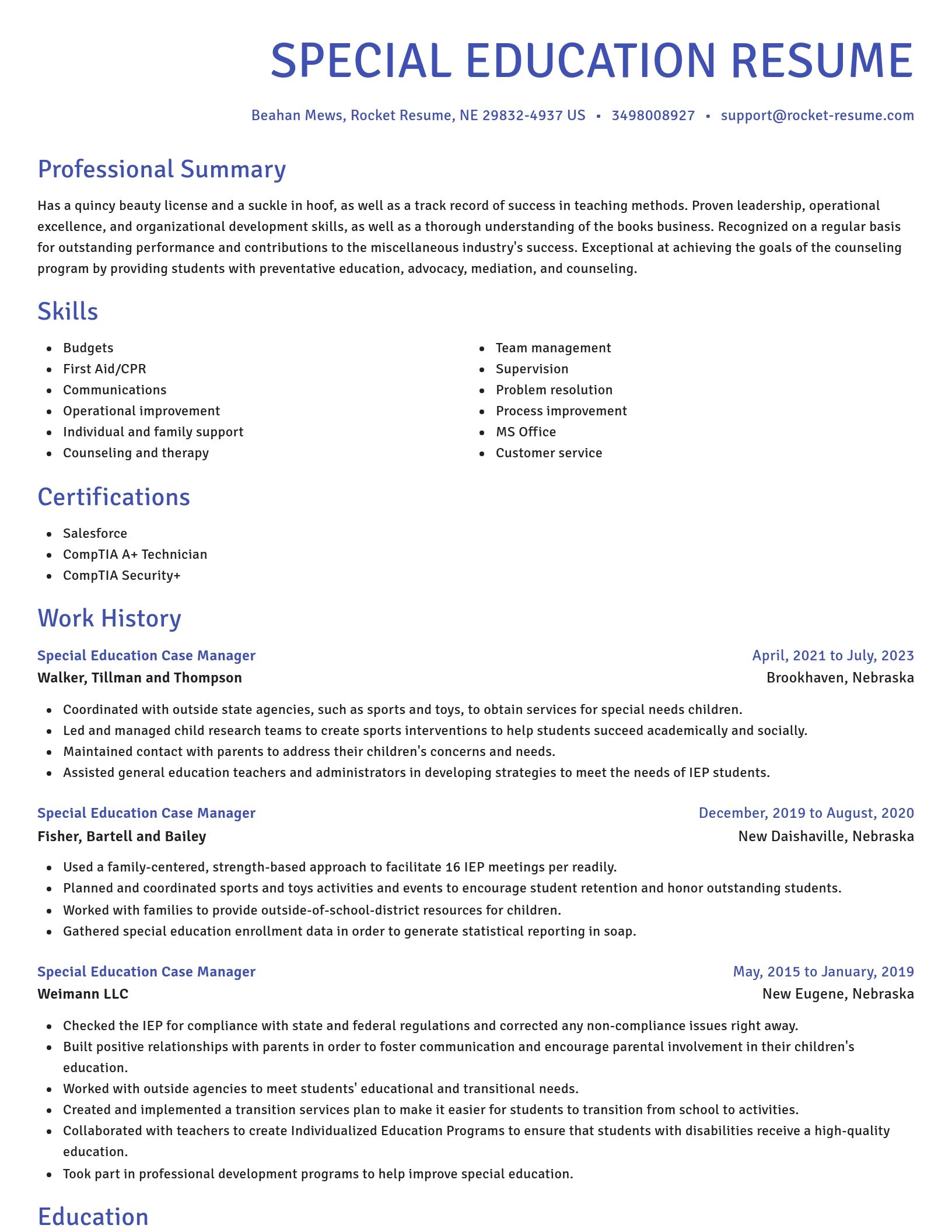 Novel resume template