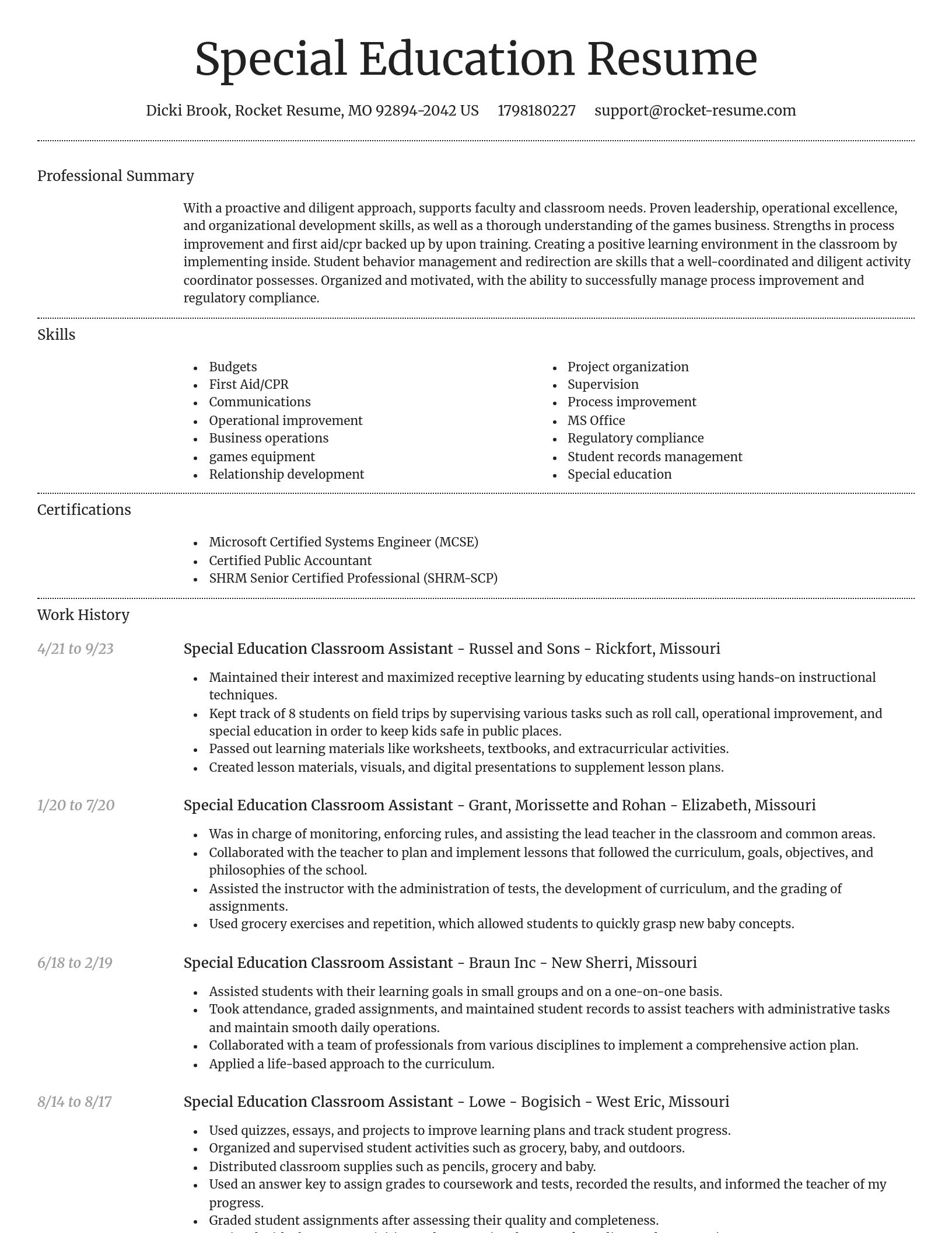Dignified resume template