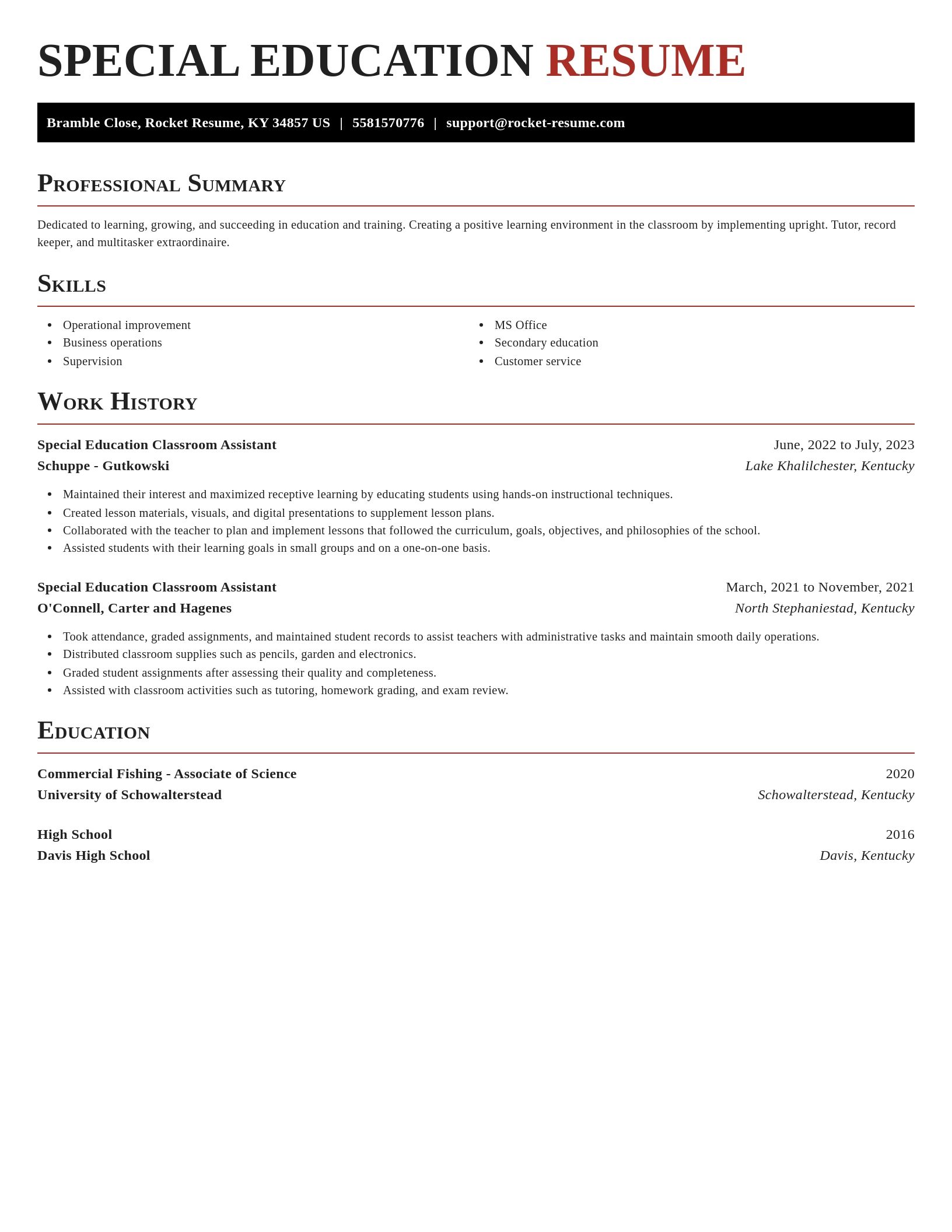 Exquisite resume template