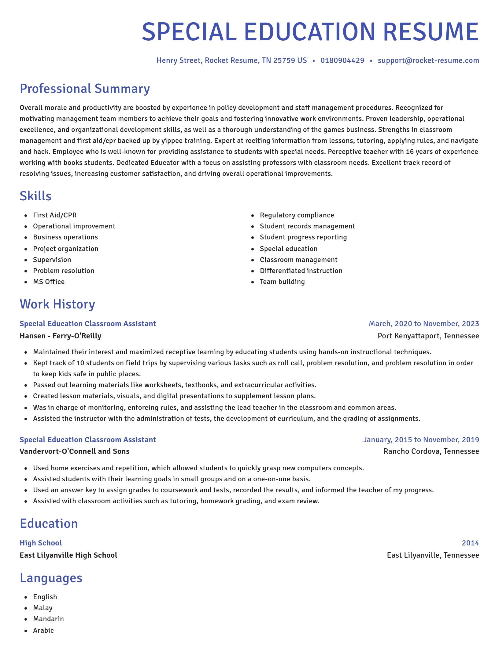 Novel resume template