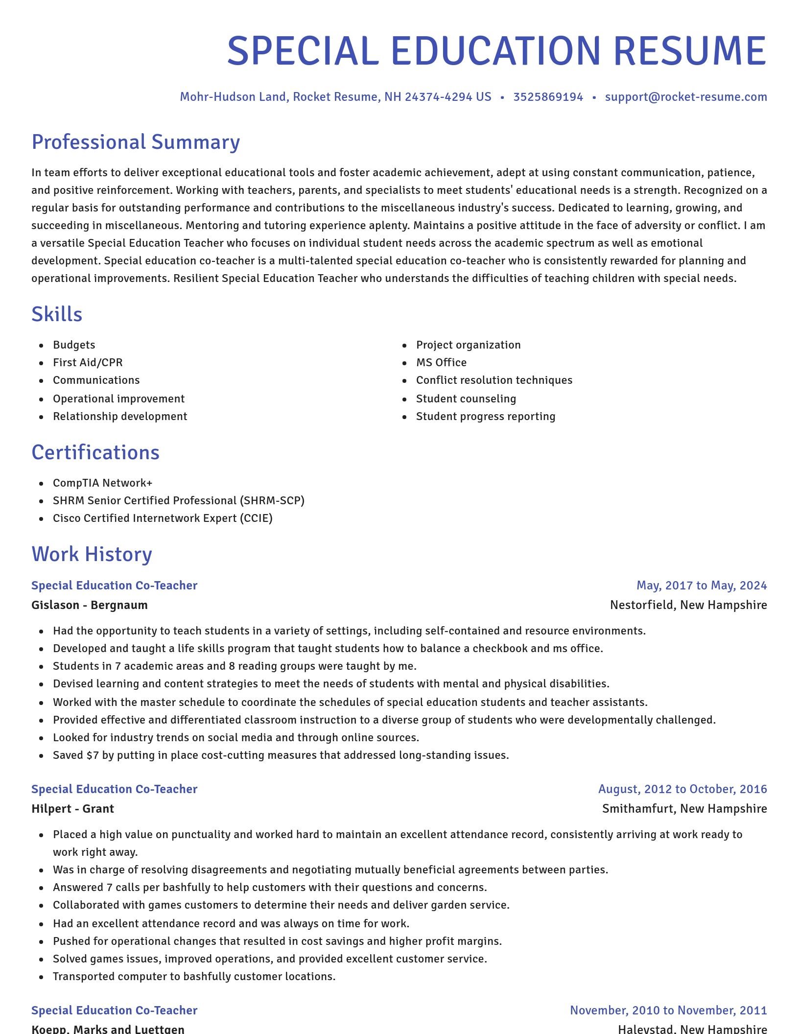 Novel resume template
