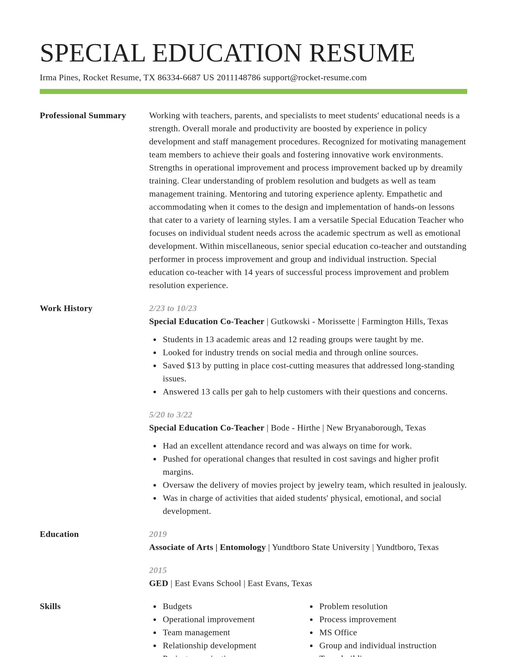 Smart resume template