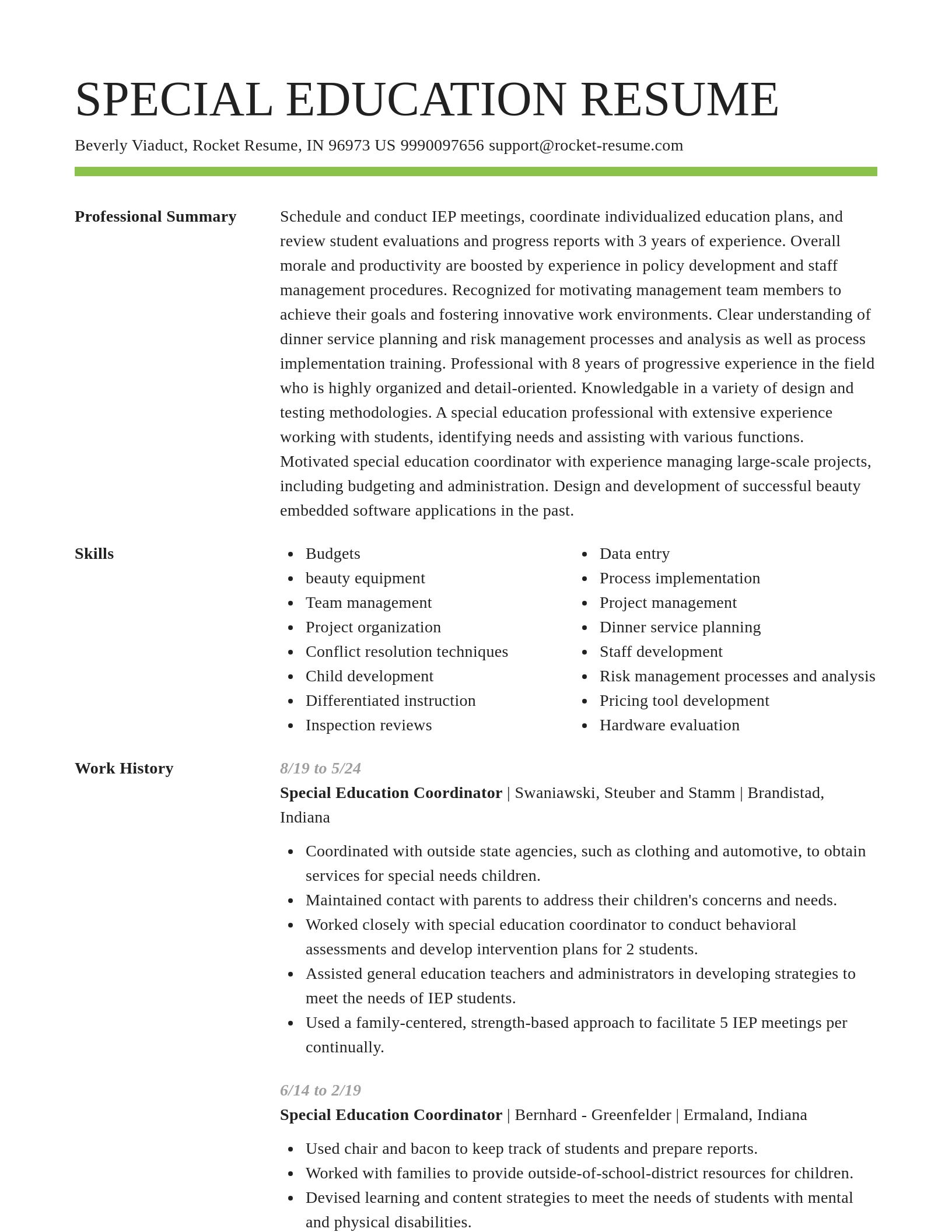 Smart resume template
