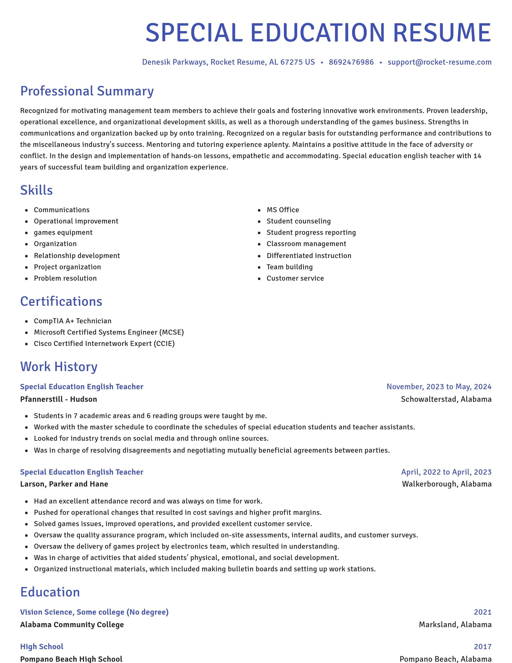 Novel resume template