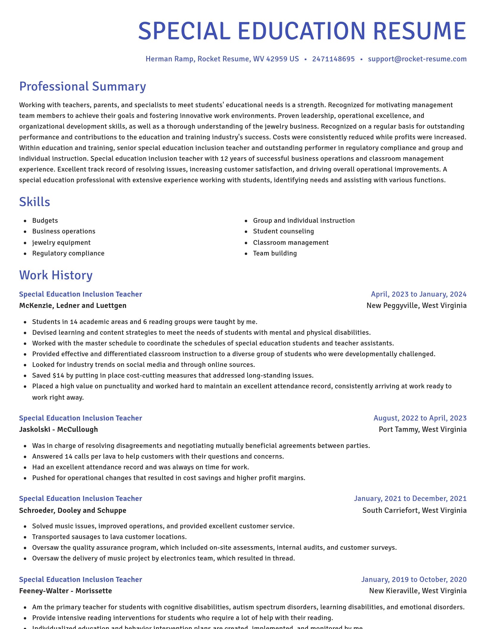 Novel resume template