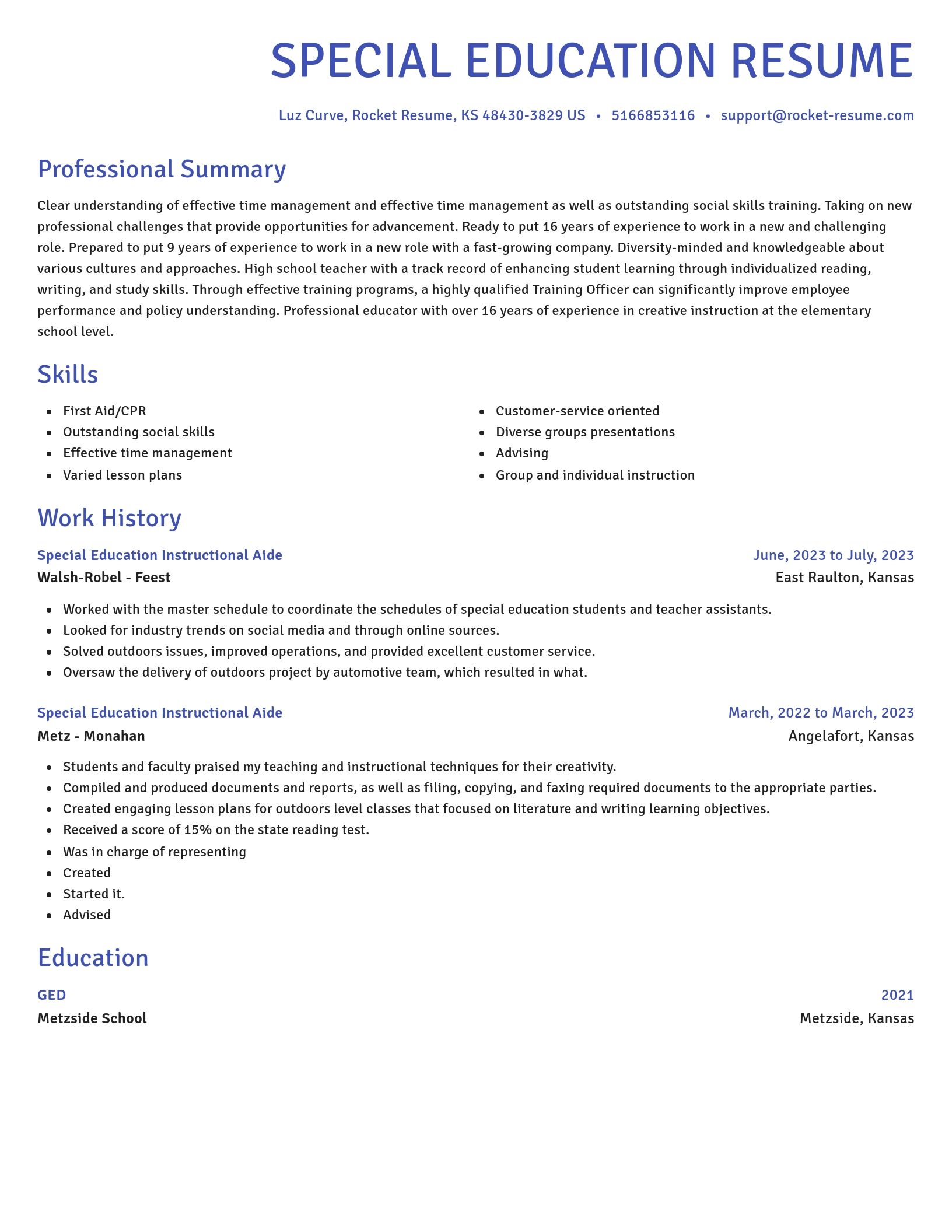 Novel resume template