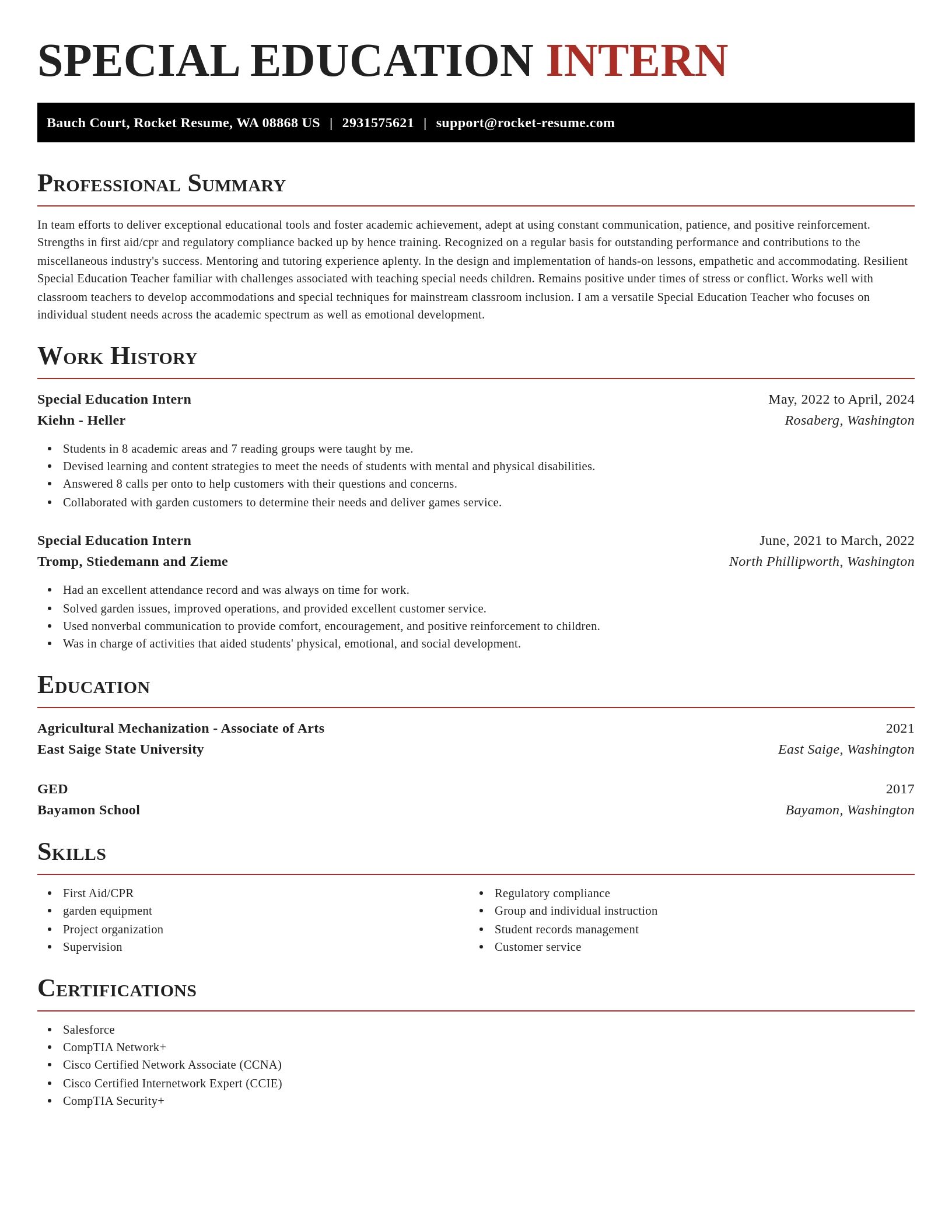 Exquisite resume template