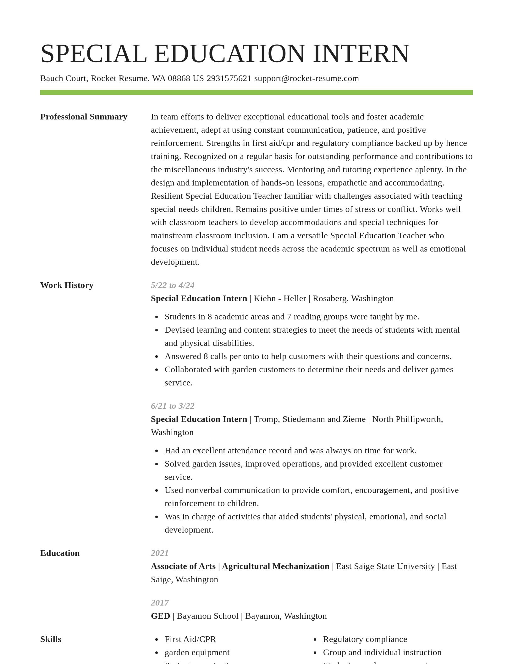 Smart resume template