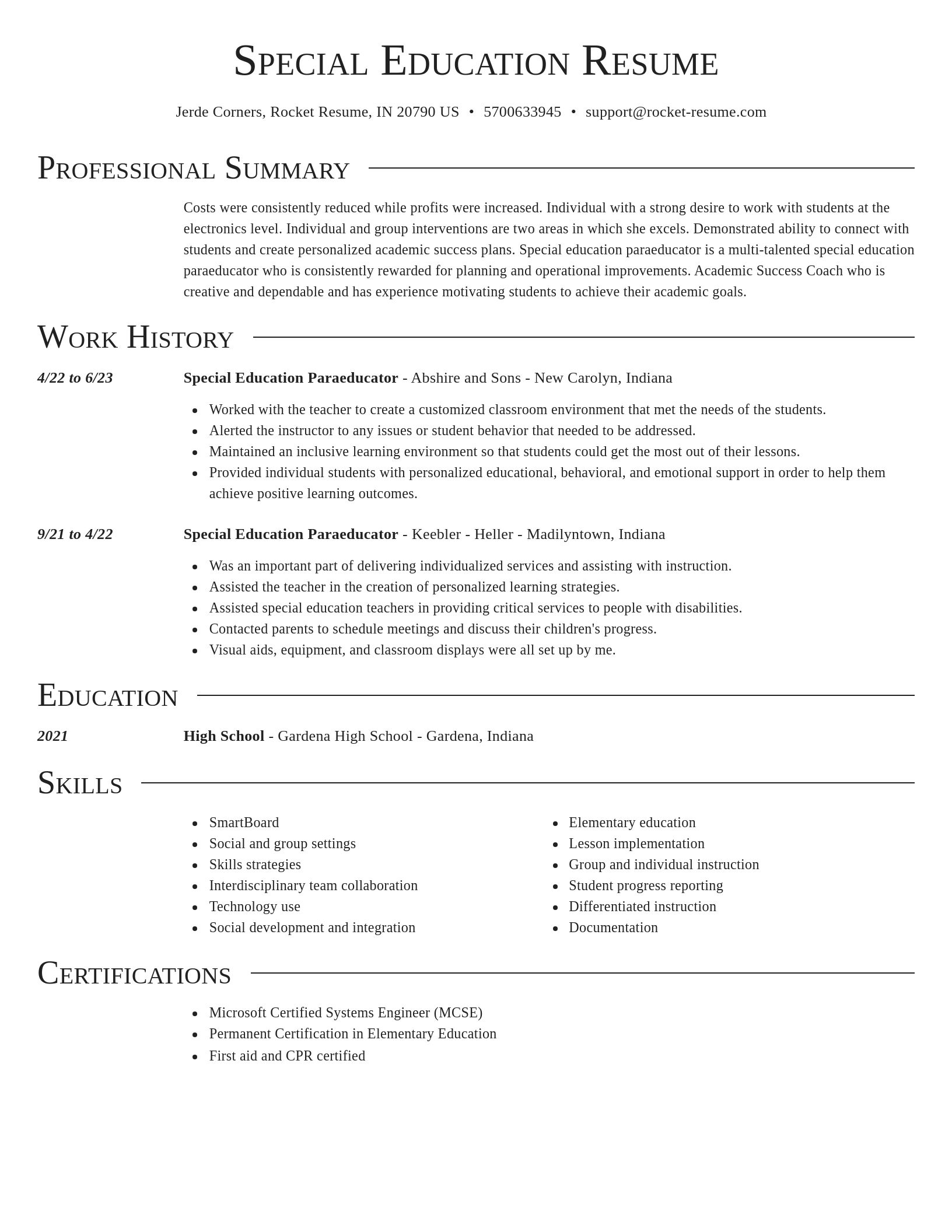 Director resume template