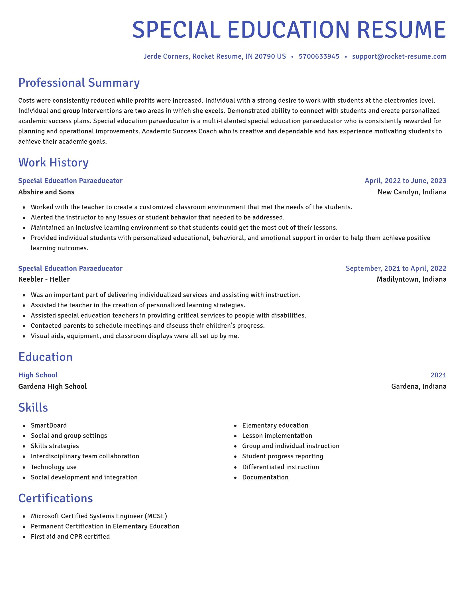 Novel resume template