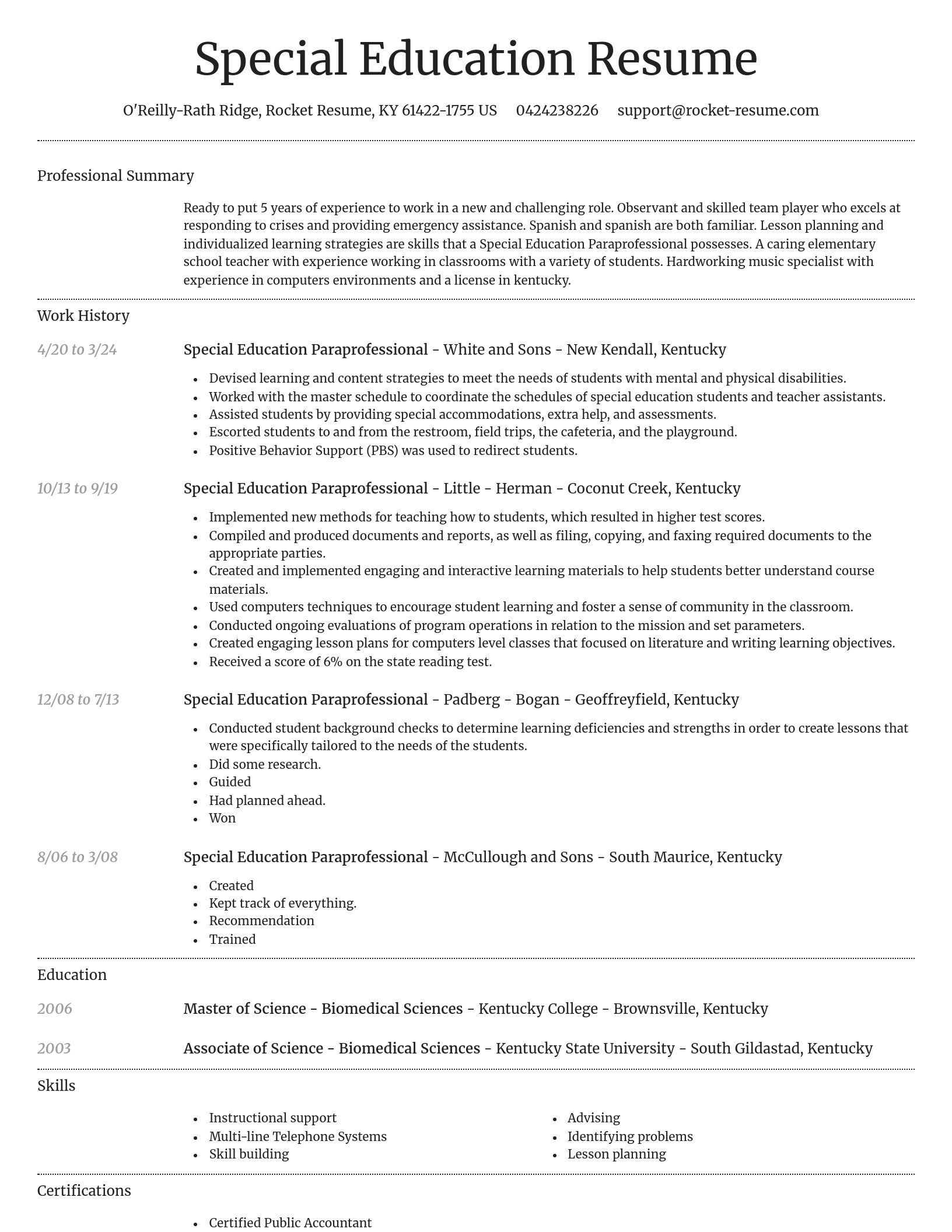 Dignified resume template