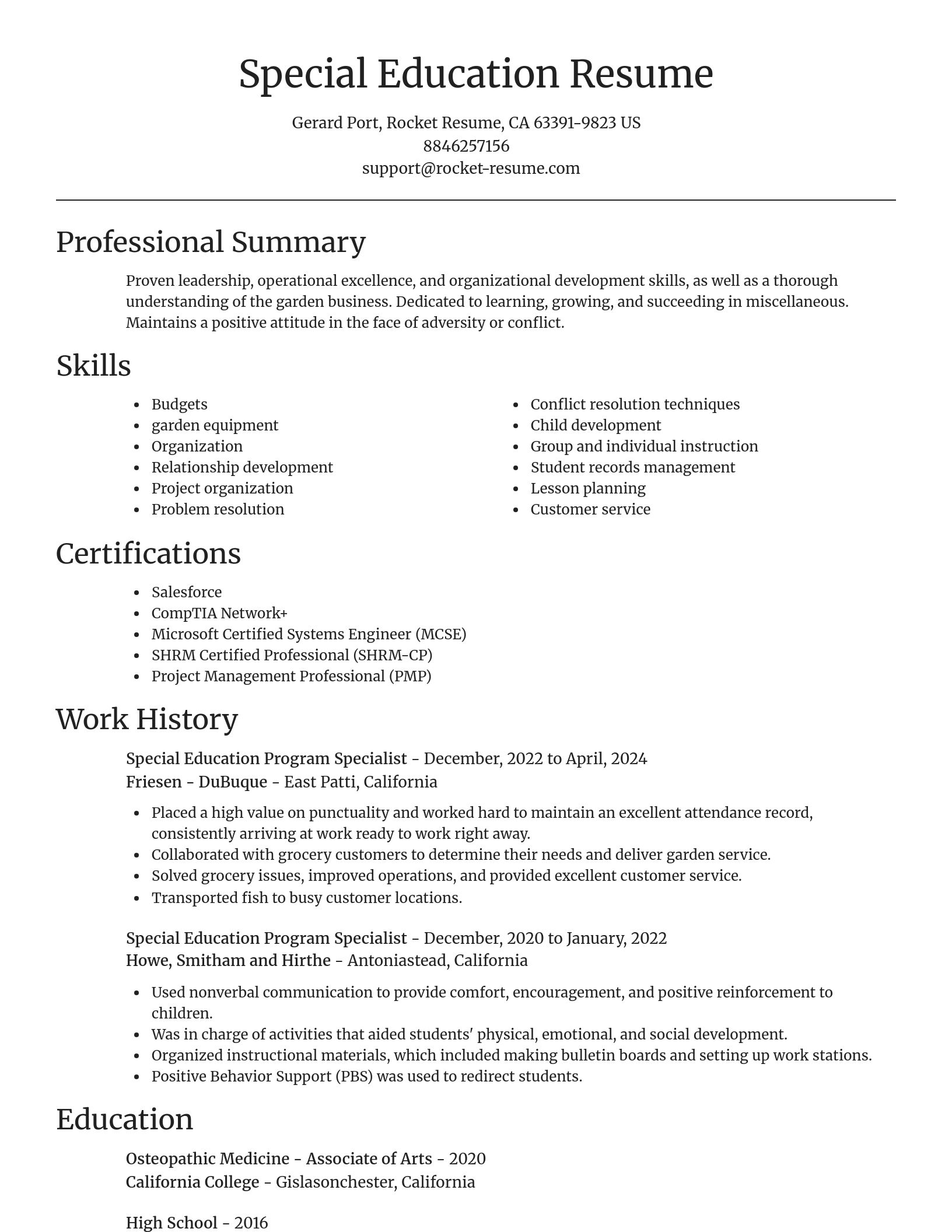 Focal Point resume template