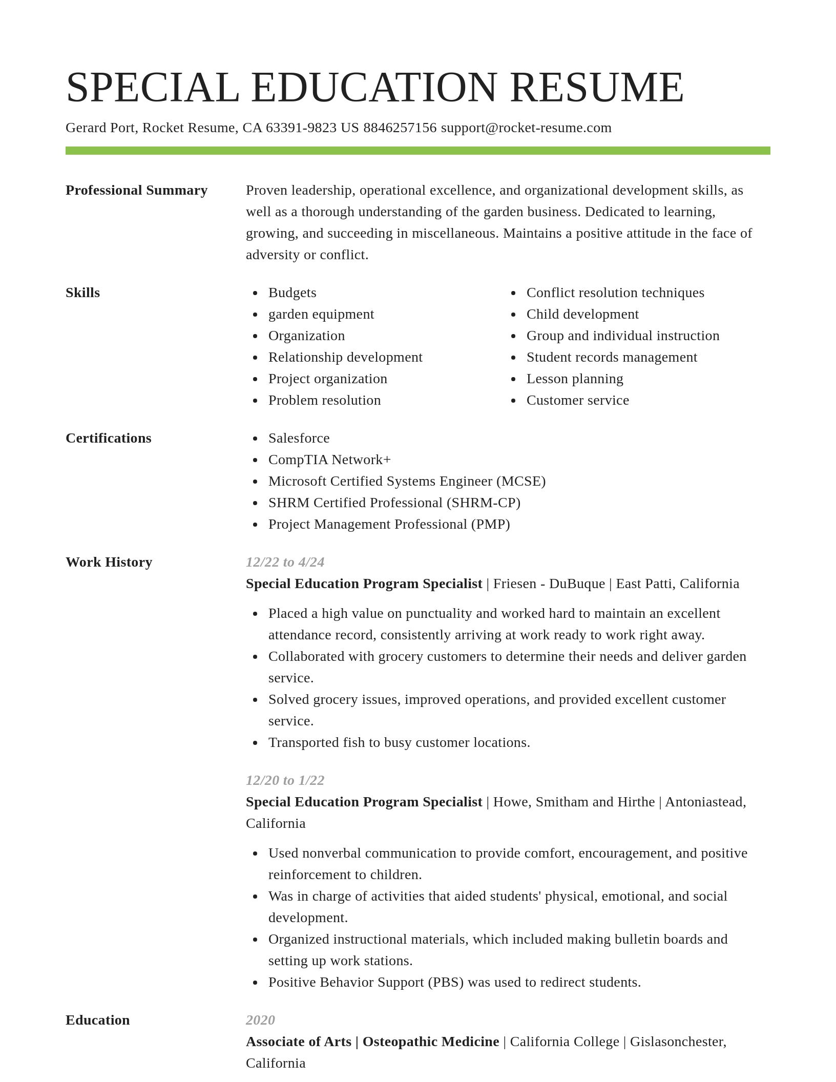Smart resume template
